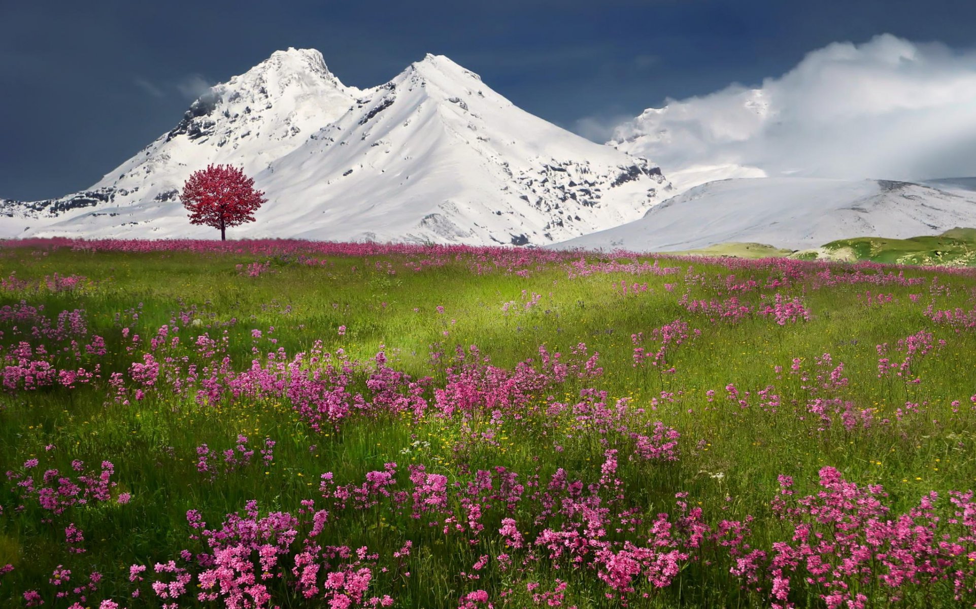 berge schnee natur frühling winter