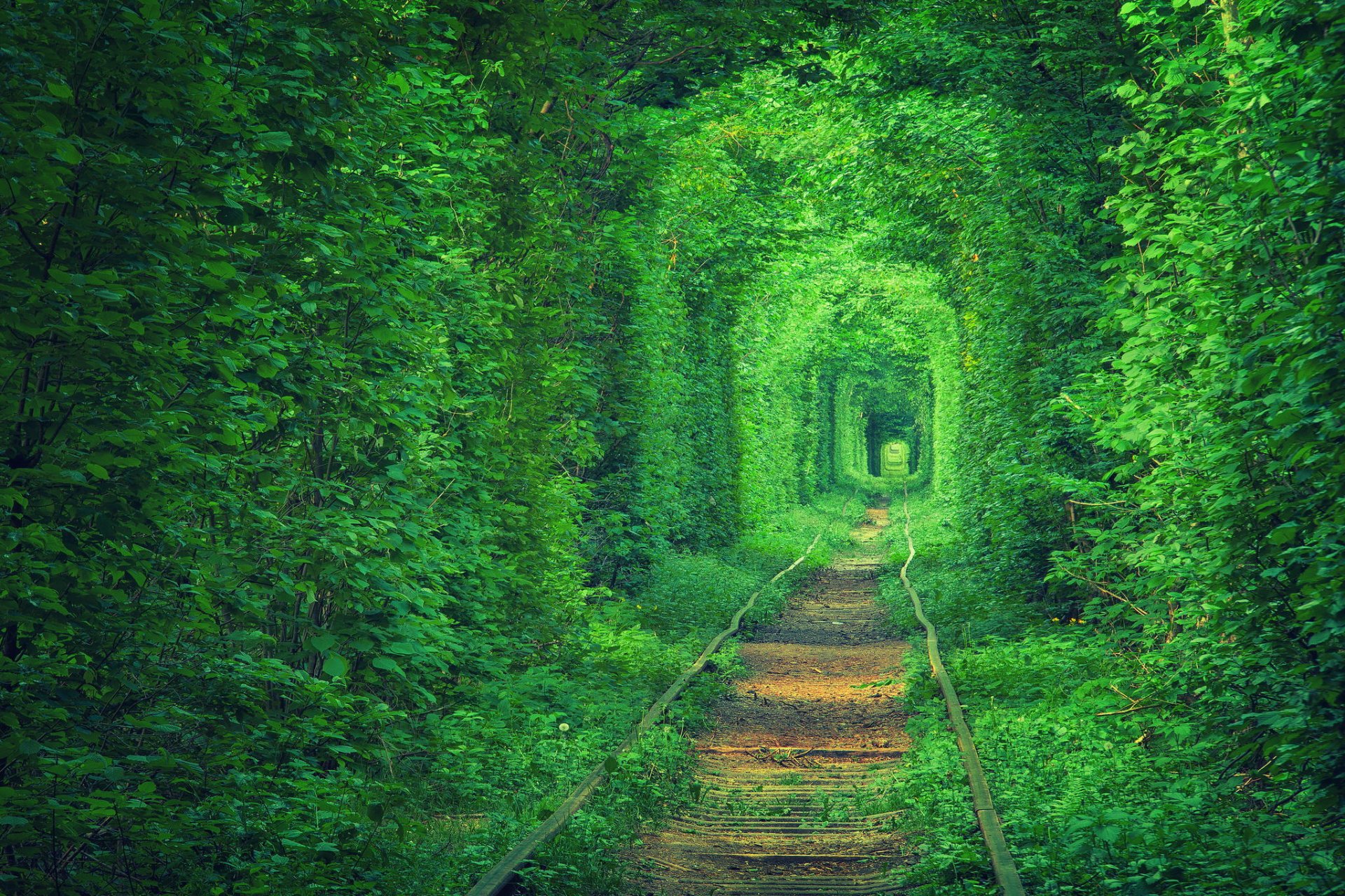 ukraine tünel khövsgöl love tram tracks w / d road tree foliage nature