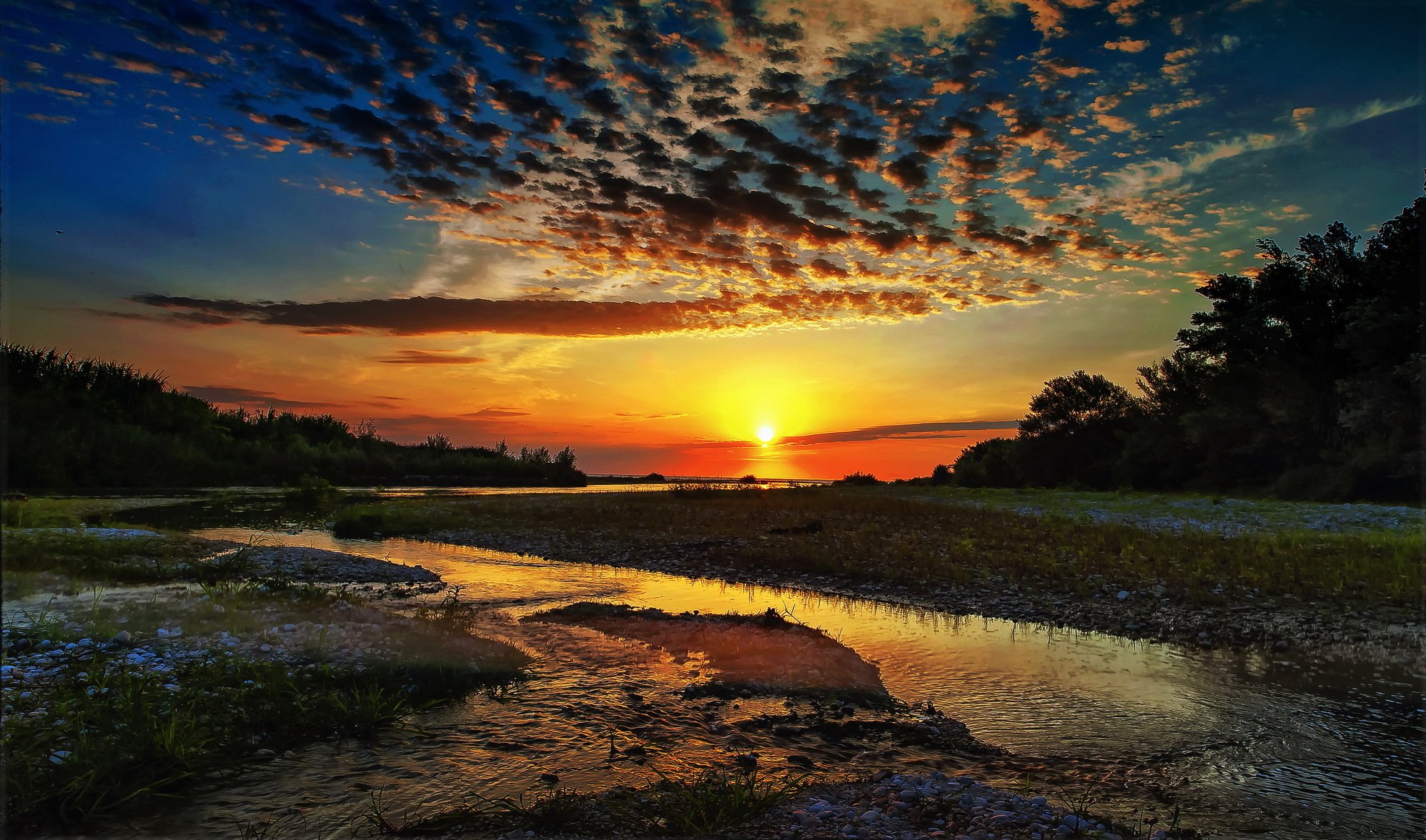 forest river sun sunrise