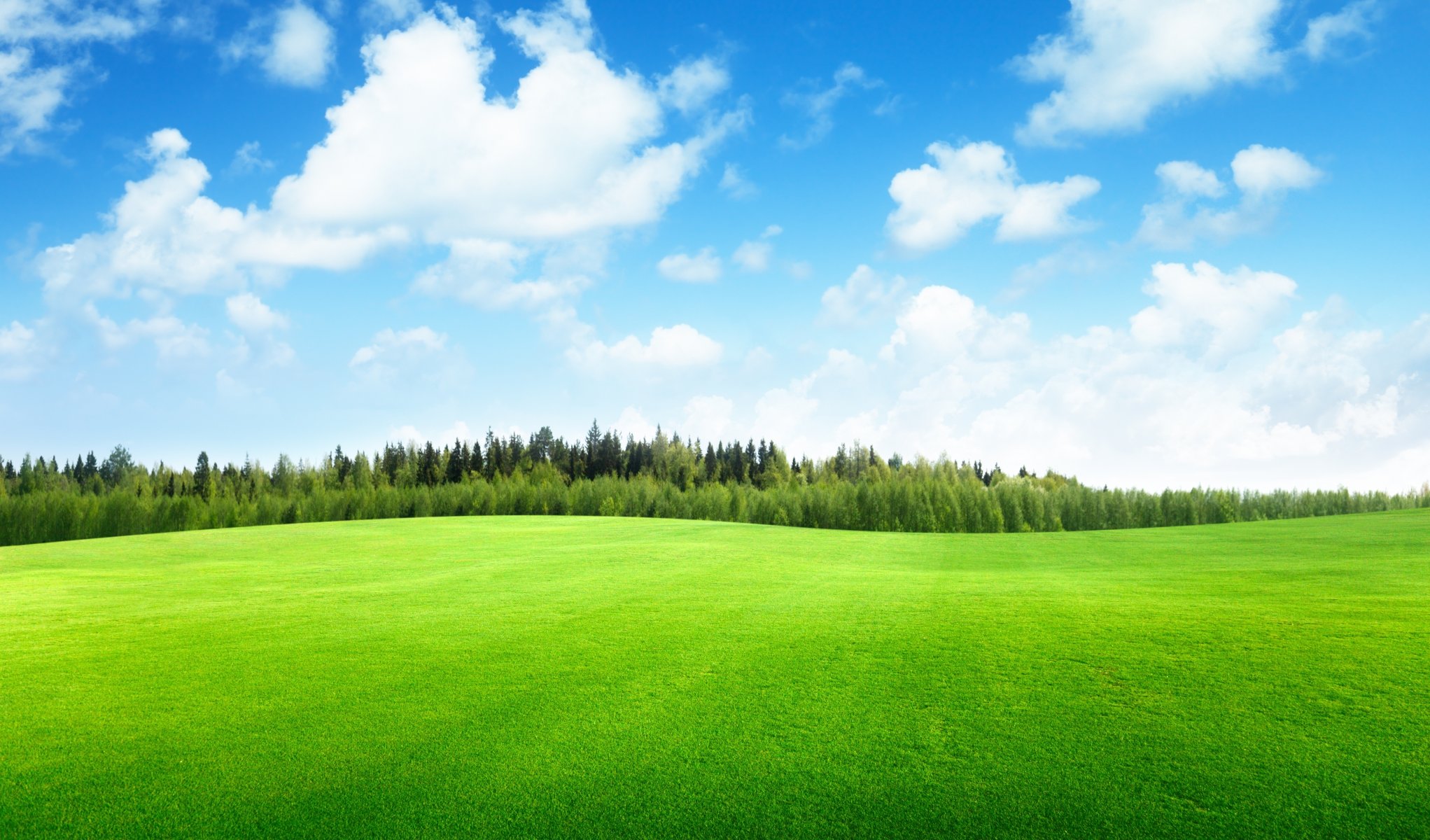 champ d herbe ciel nuages arbres paysage nature champ d herbe beau