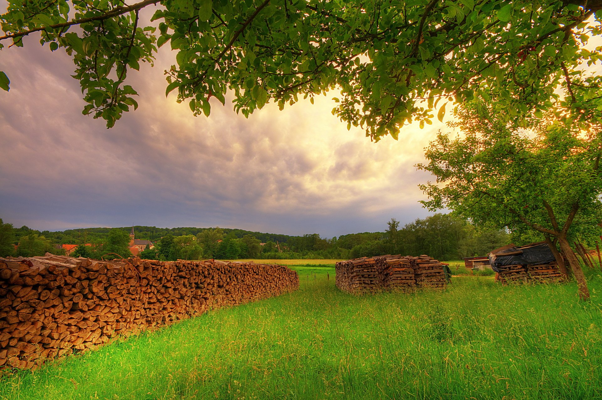 ummer green field forest houses polenitsa firewood