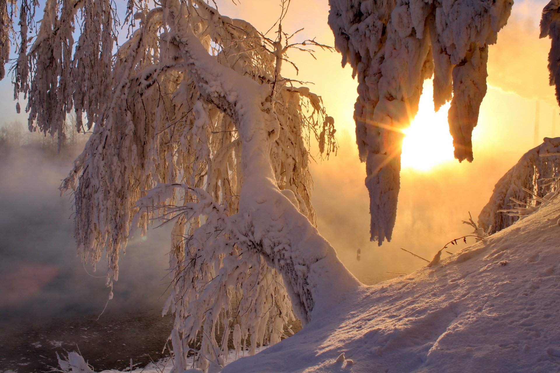 inverno neve alberi raggi di luce mattina sole