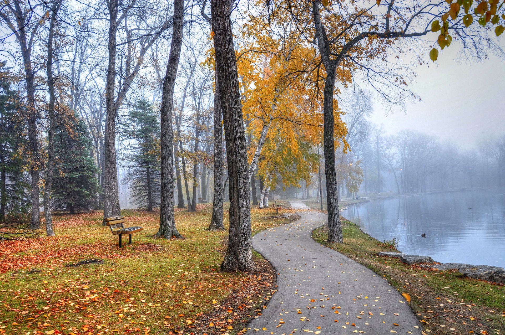 parco passerella panchine lago autunno