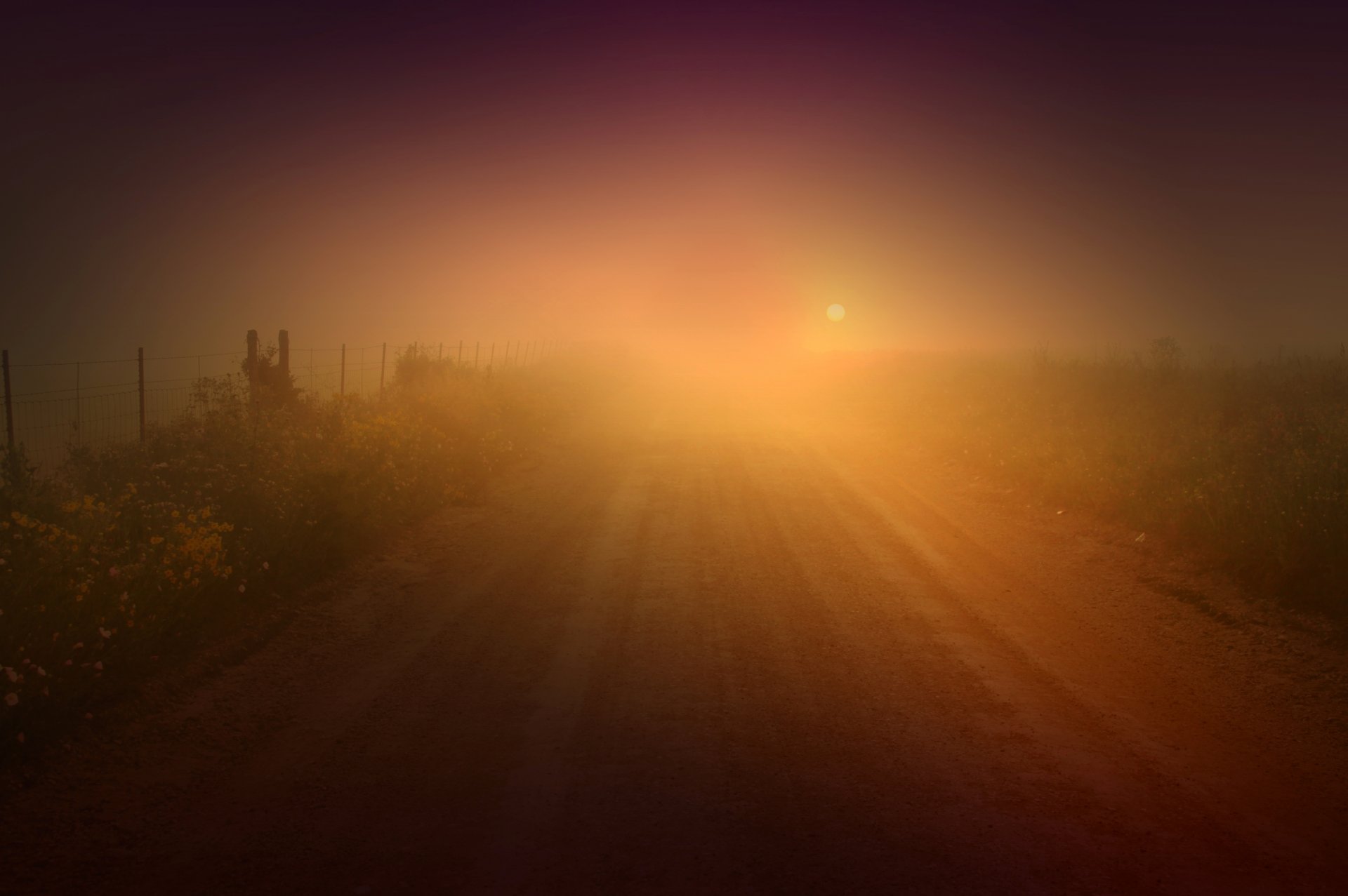 natura liście trawa zieleń kwiaty kwiaty słońce poranek ścieżka ścieżka tło tapeta panoramiczny pełny ekran panoramiczny panoramiczny