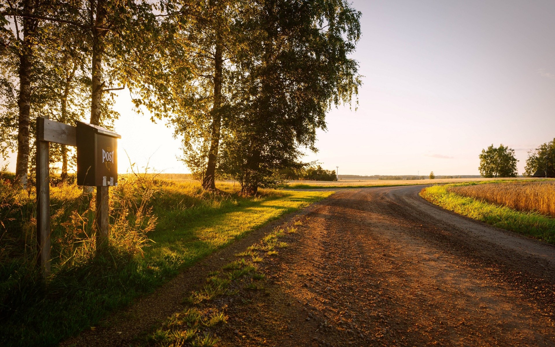 natura drzewa liście zieleń roślinność ścieżka skrzynka pocztowa słońce tło tapeta panoramiczny pełny ekran panoramiczny panoramiczny