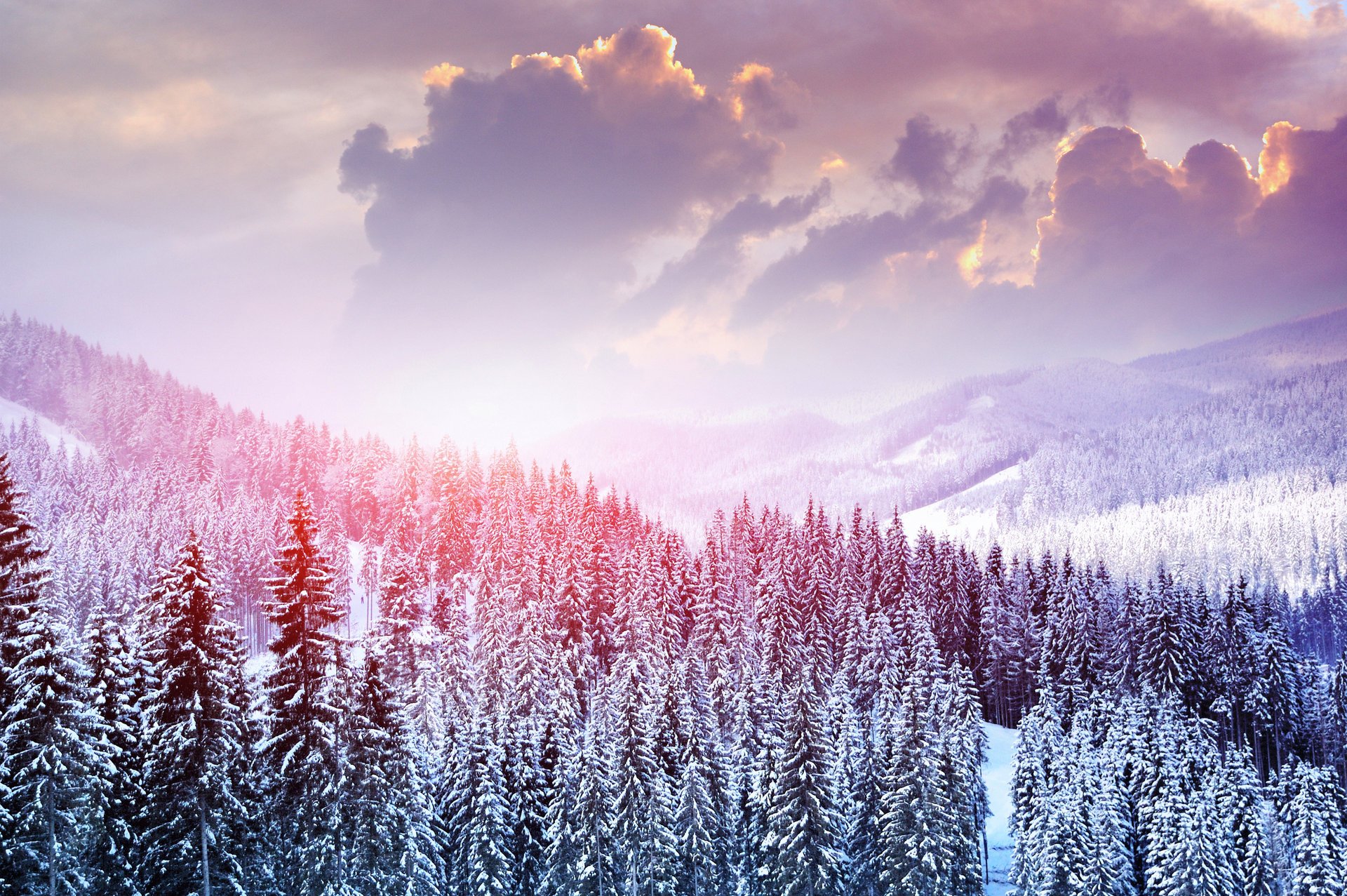 natura paesaggio inverno neve alberi montagne foresta cielo nuvole