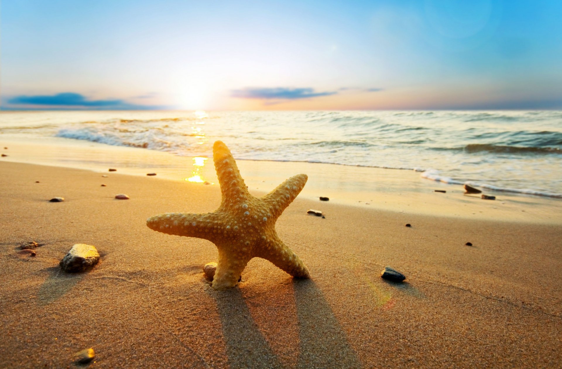 natur seestern meer fluss welle wasser strand sand steine kiesel sonne hintergrund tapete widescreen vollbild widescreen