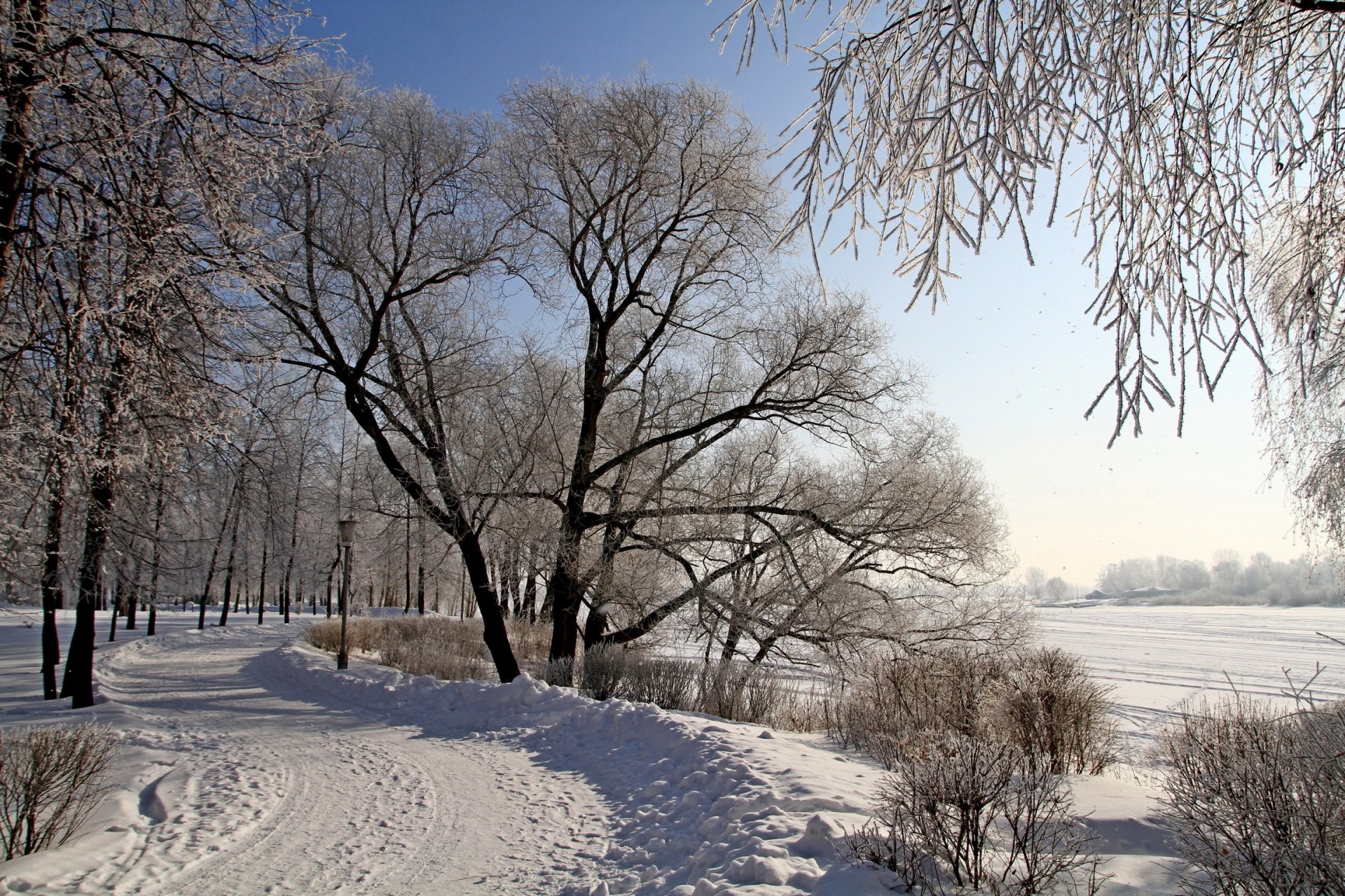 зима дорога снег деревья природа фото