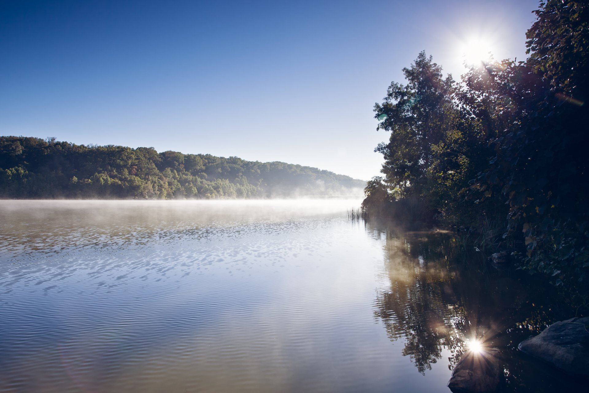 forêt rivière brouillard matin