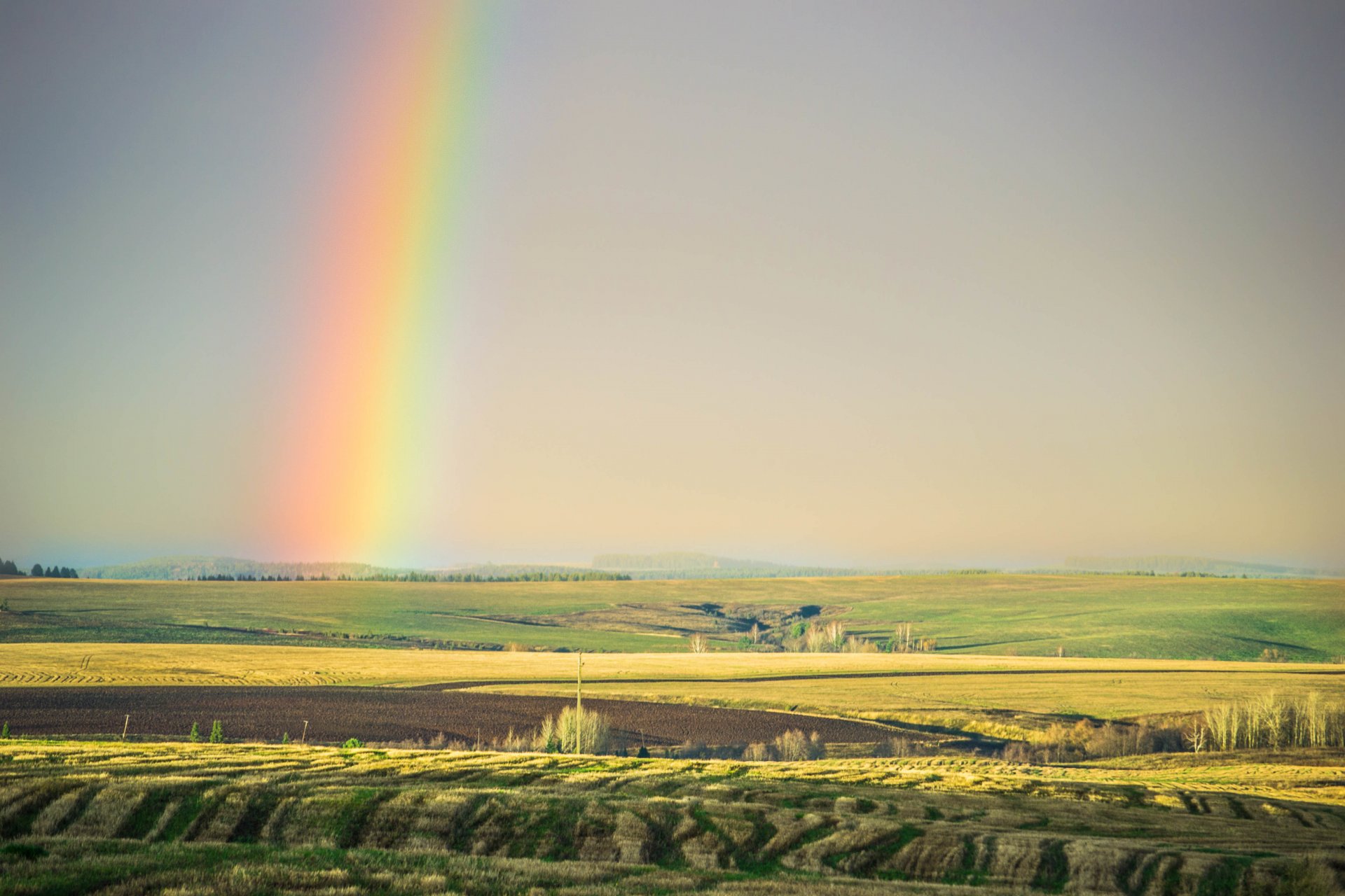 champs été arc-en-ciel beauté nature ciel arbres lumière steppe morgendorfer