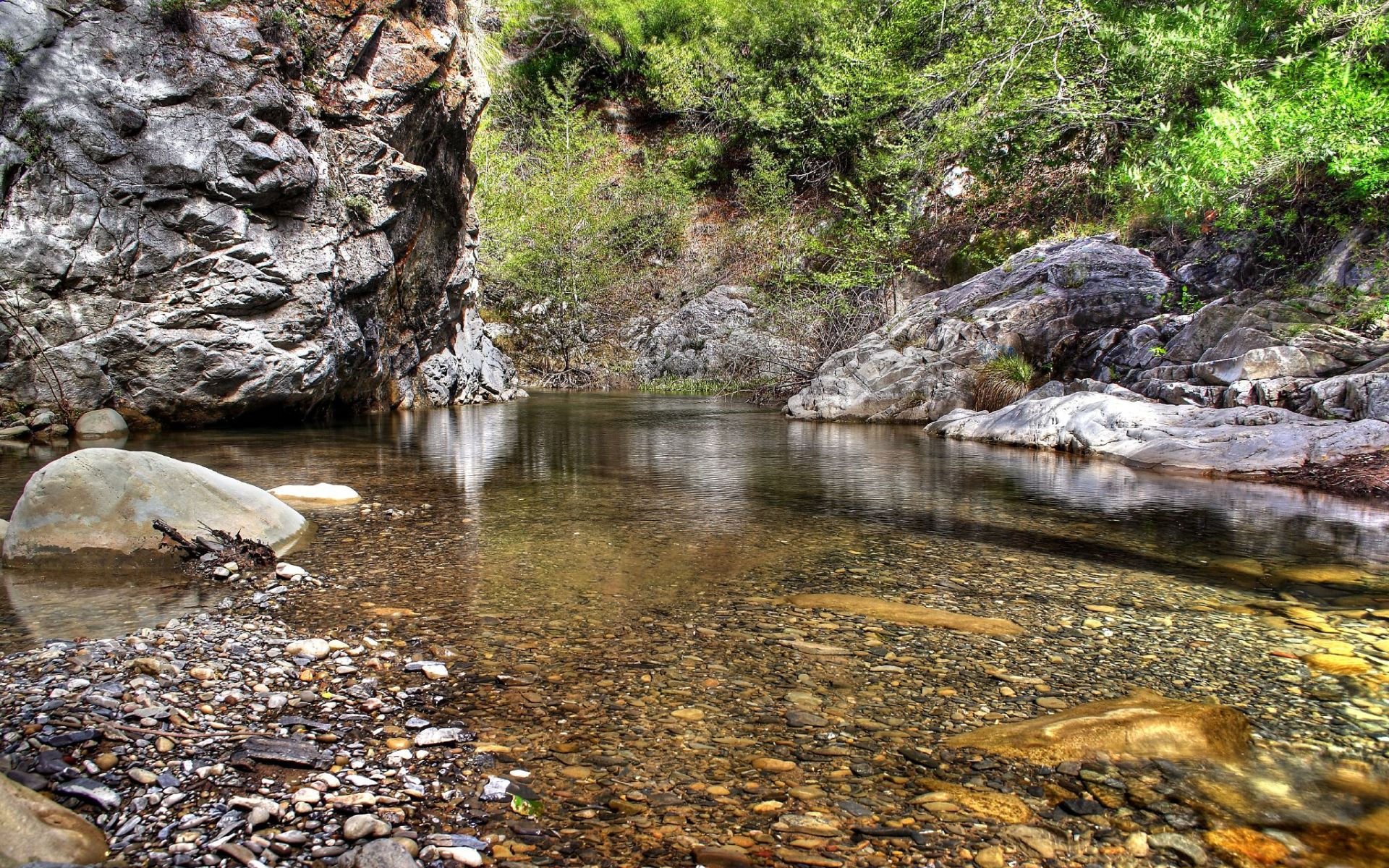 деревья вода камни листья природа