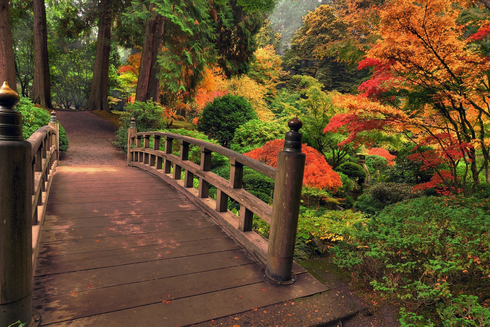 natura parco autunno alberi foglie ponte colori colorato fiori bello