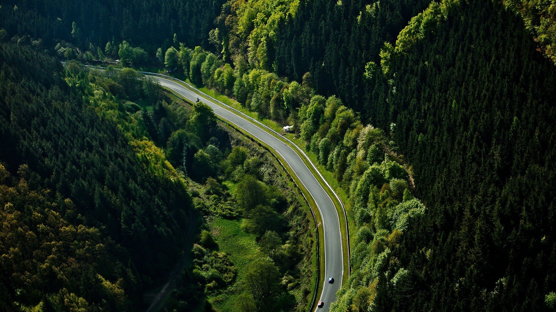 nürburgring strecke wald autos