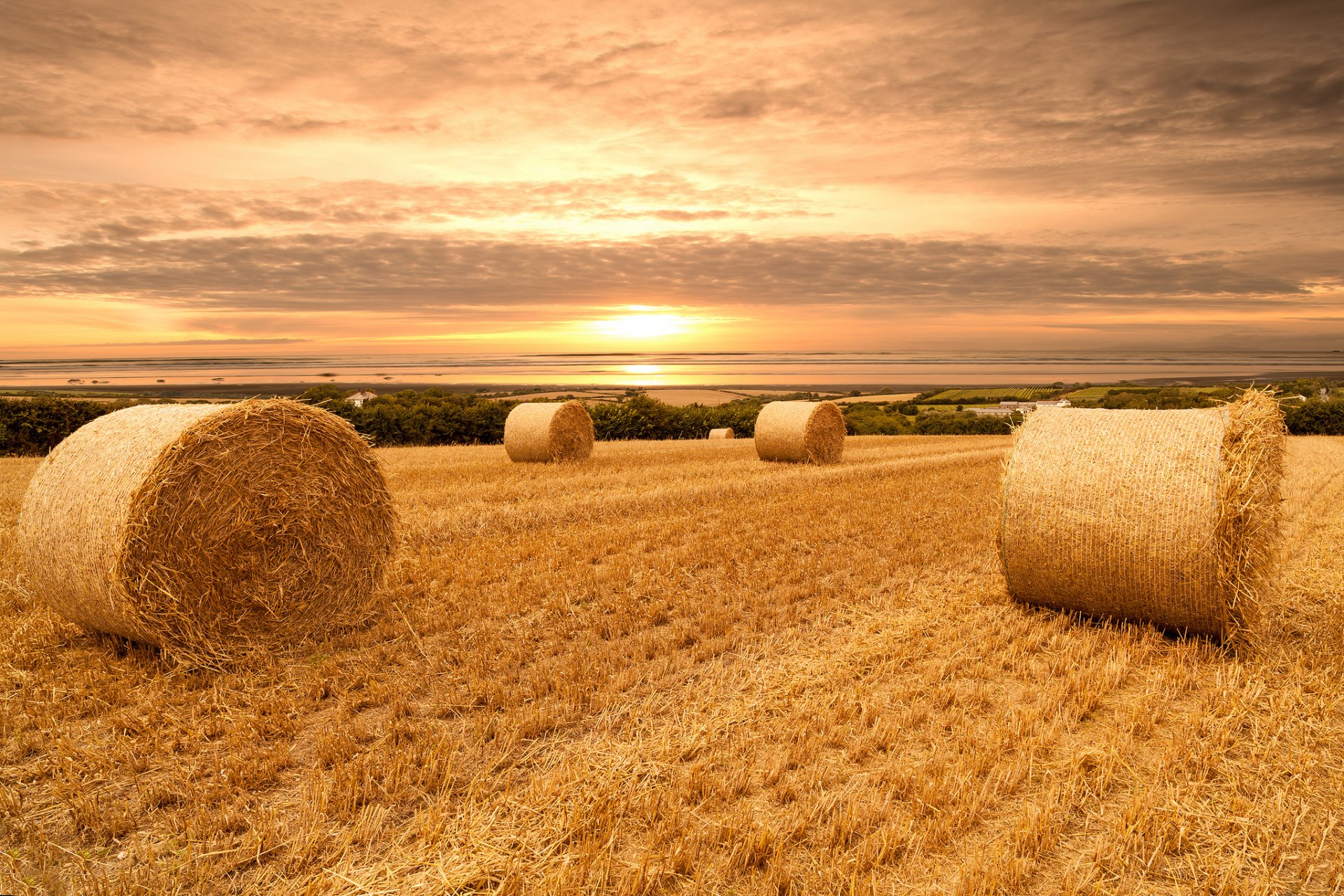 naturaleza paisaje campo cielo nubes puesta de sol trigo ver pacas