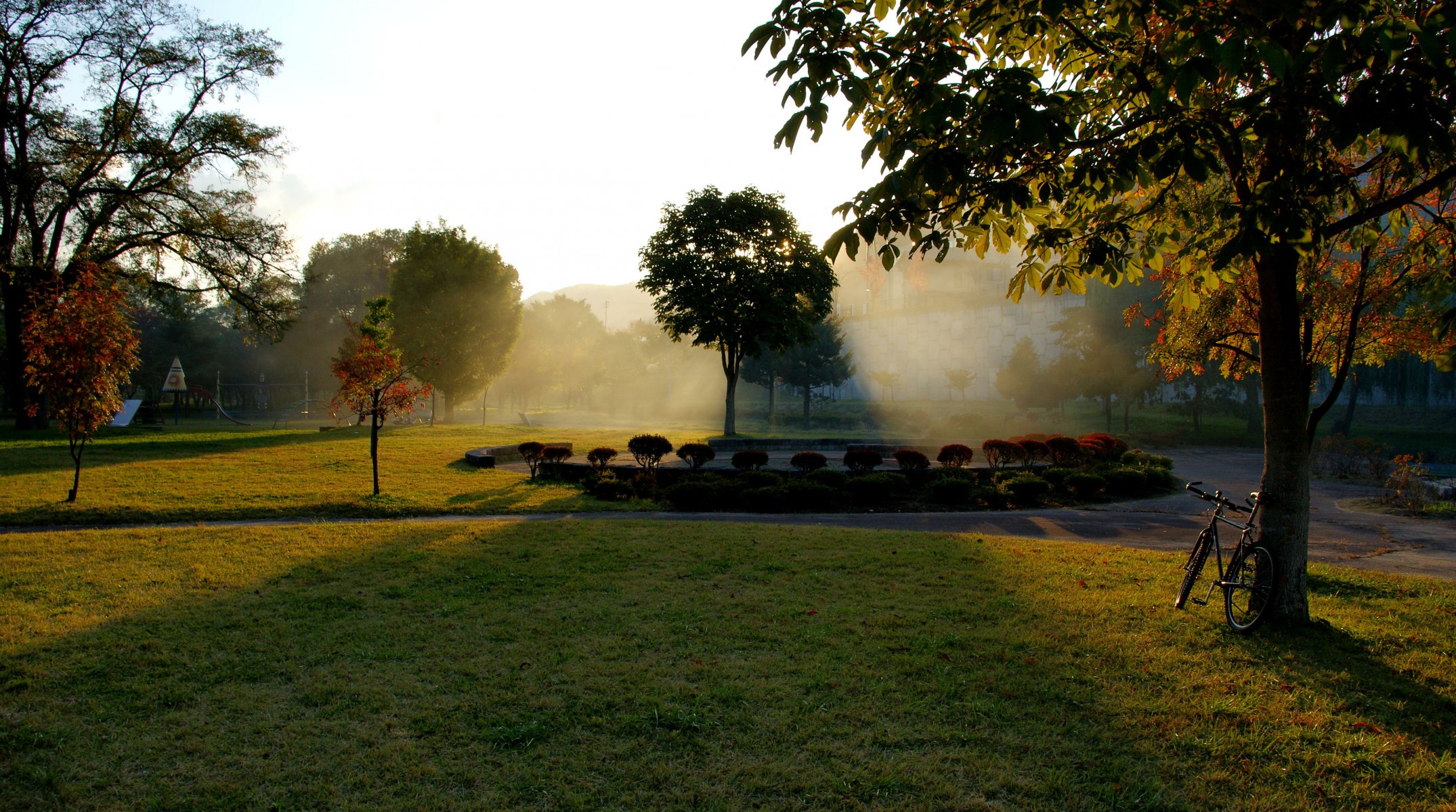 automne parc feuilles parterre de fleurs feuillage arbres herbe arbre aube soleil rayons vélo jardin de fleurs