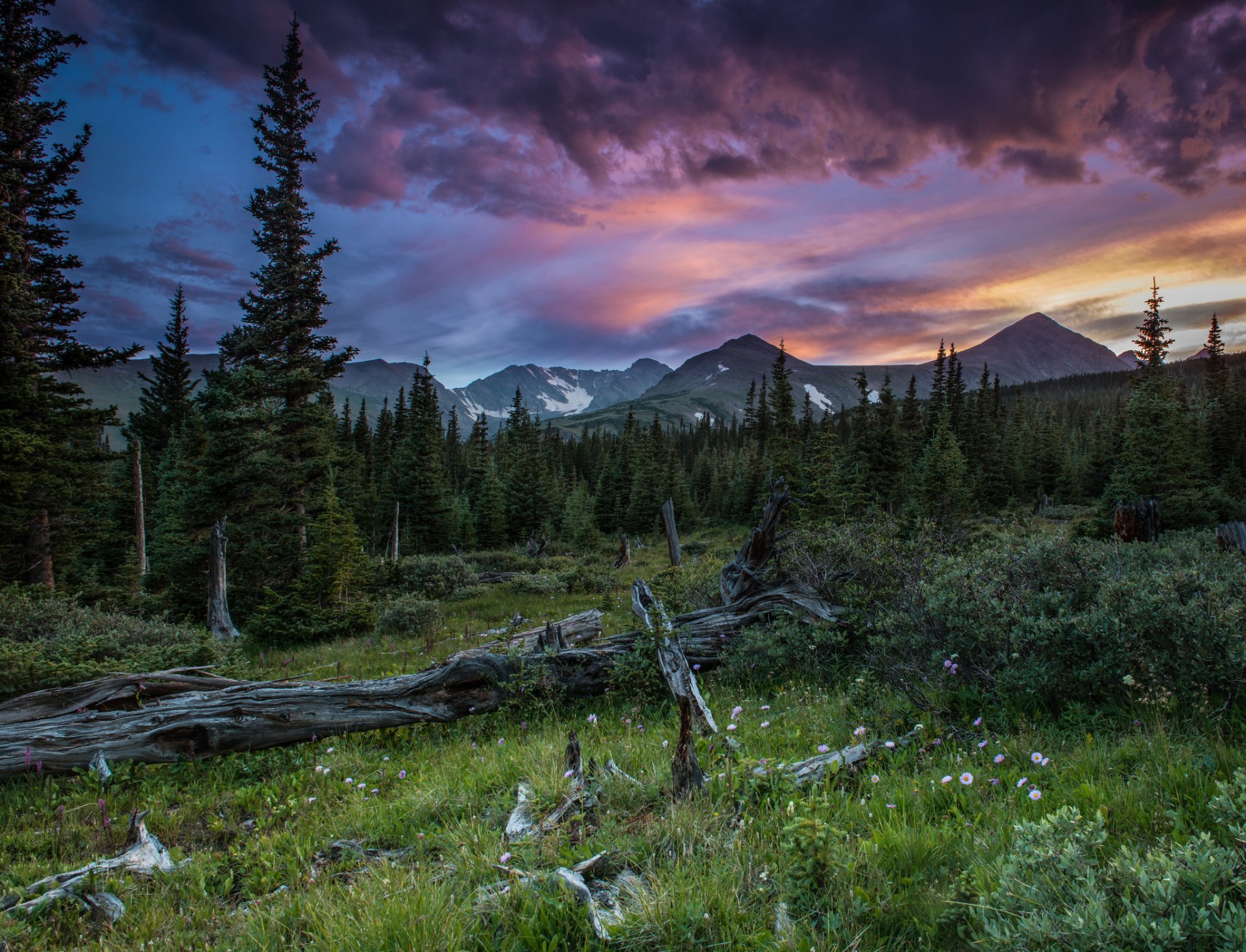 mountain forest summer sunset