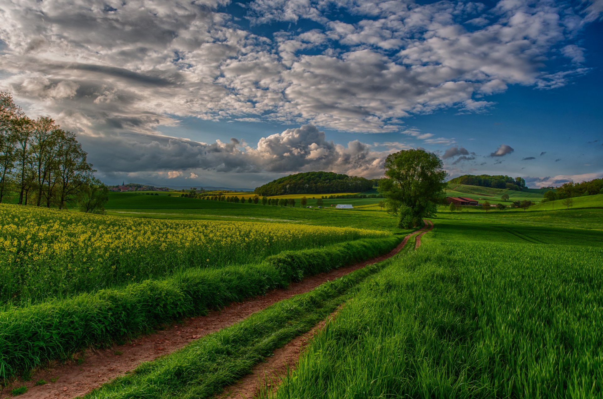 nature paysage vue ciel coucher de soleil champ arbres nuages vue beau route