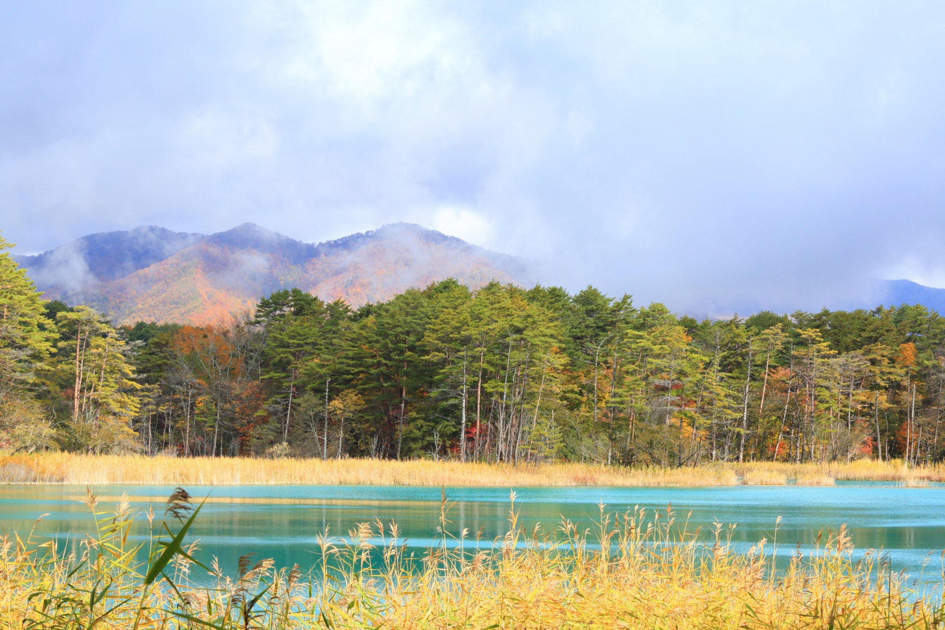 montañas nubes bosque lago otoño