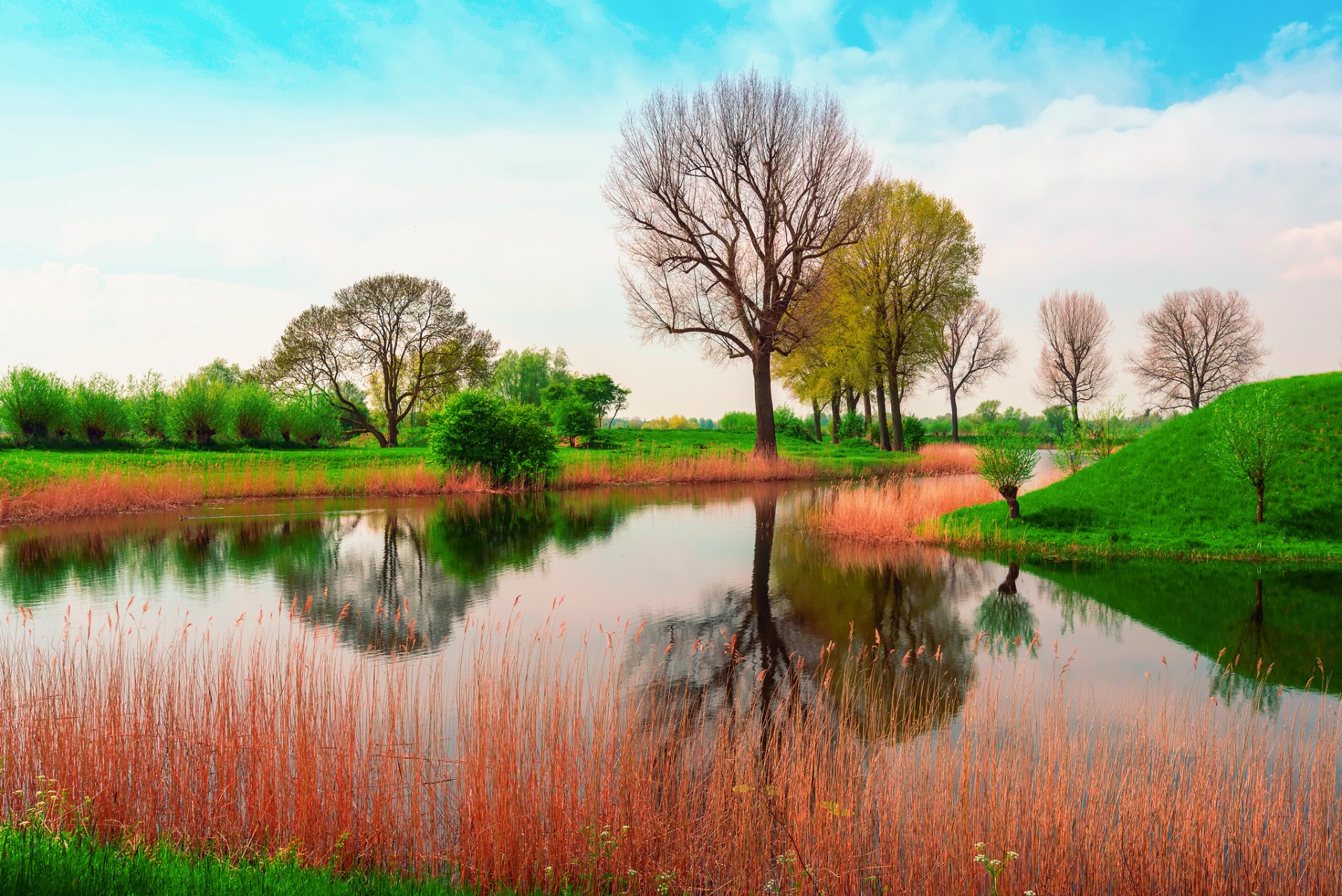 natur england frühling mai