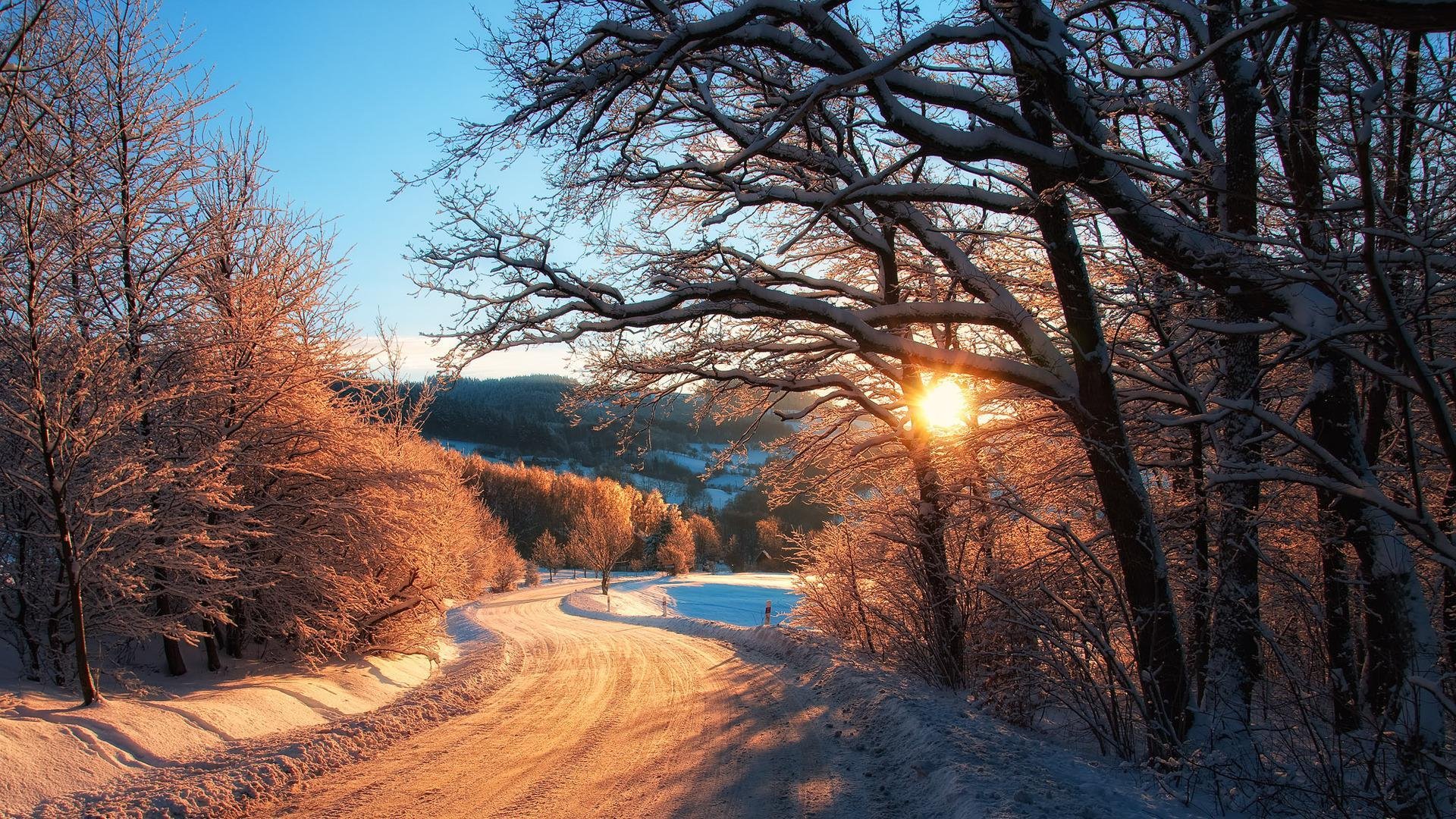 naturaleza invierno nieve árboles bosque cielo carretera sol