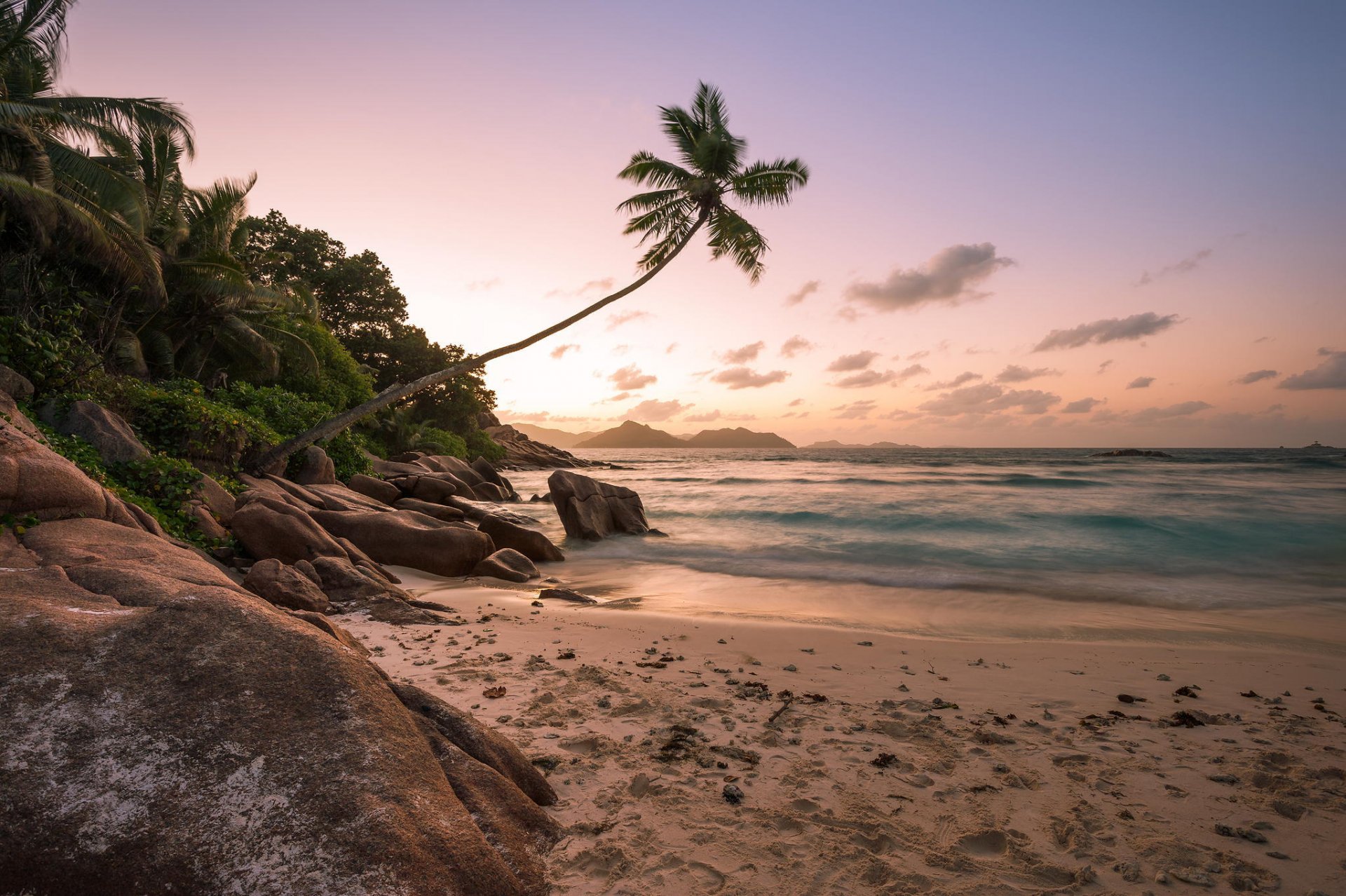 plage côte palmiers océan coucher de soleil