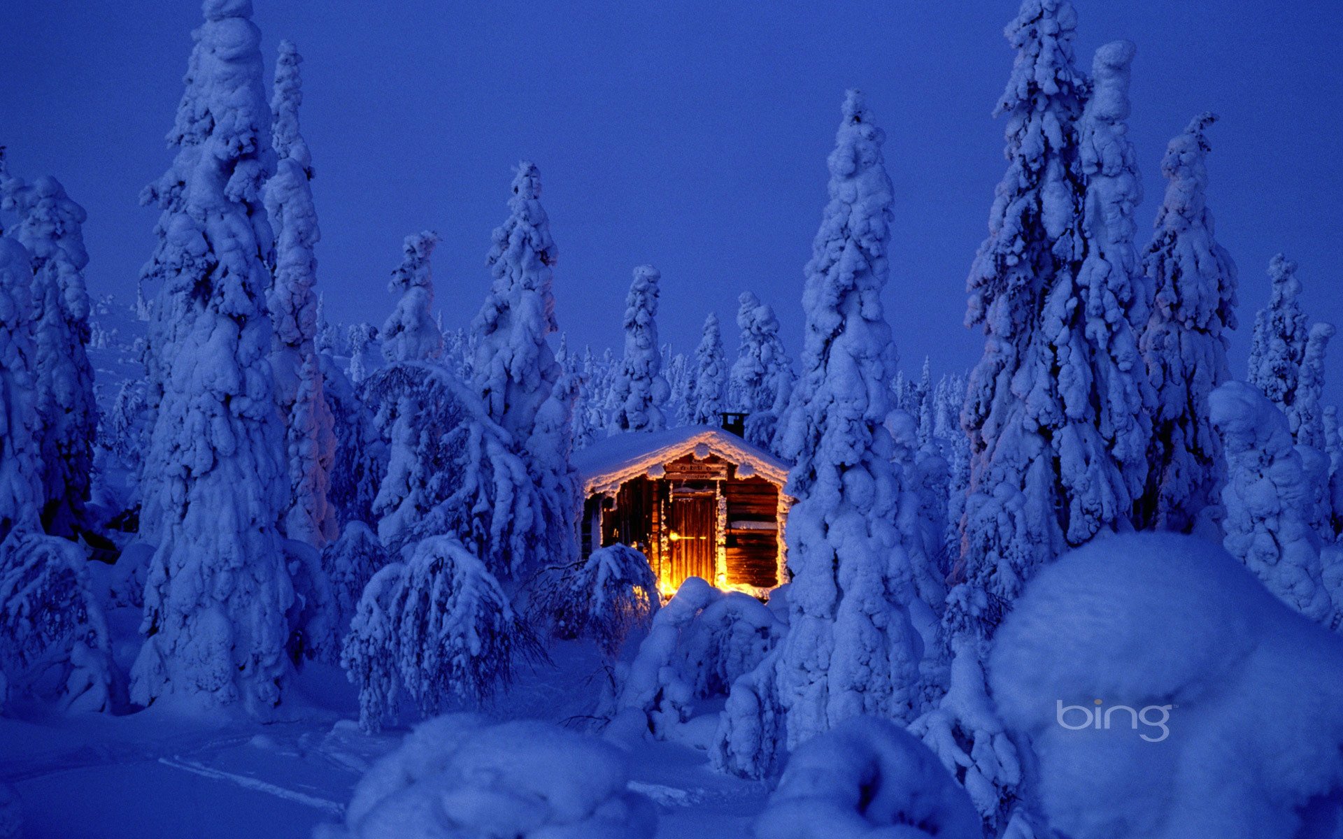 new year christmas spruce christmas tree forest snow snowdrift house hut light lights bonfire lapland night sky nature