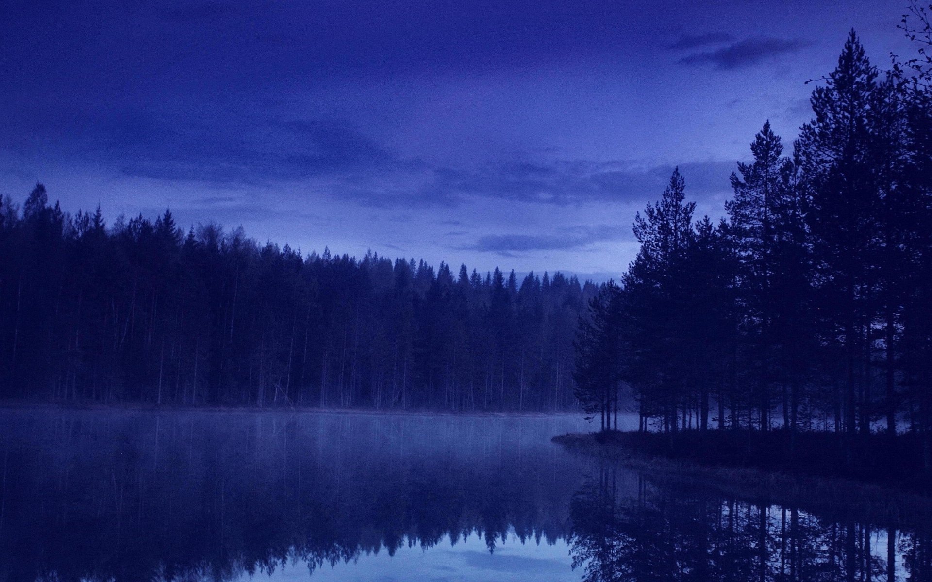 night forest river nature