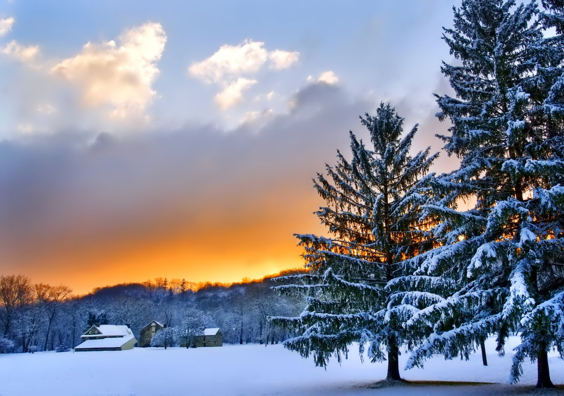 nature paysage hiver neige arbres coucher de soleil ciel nuages