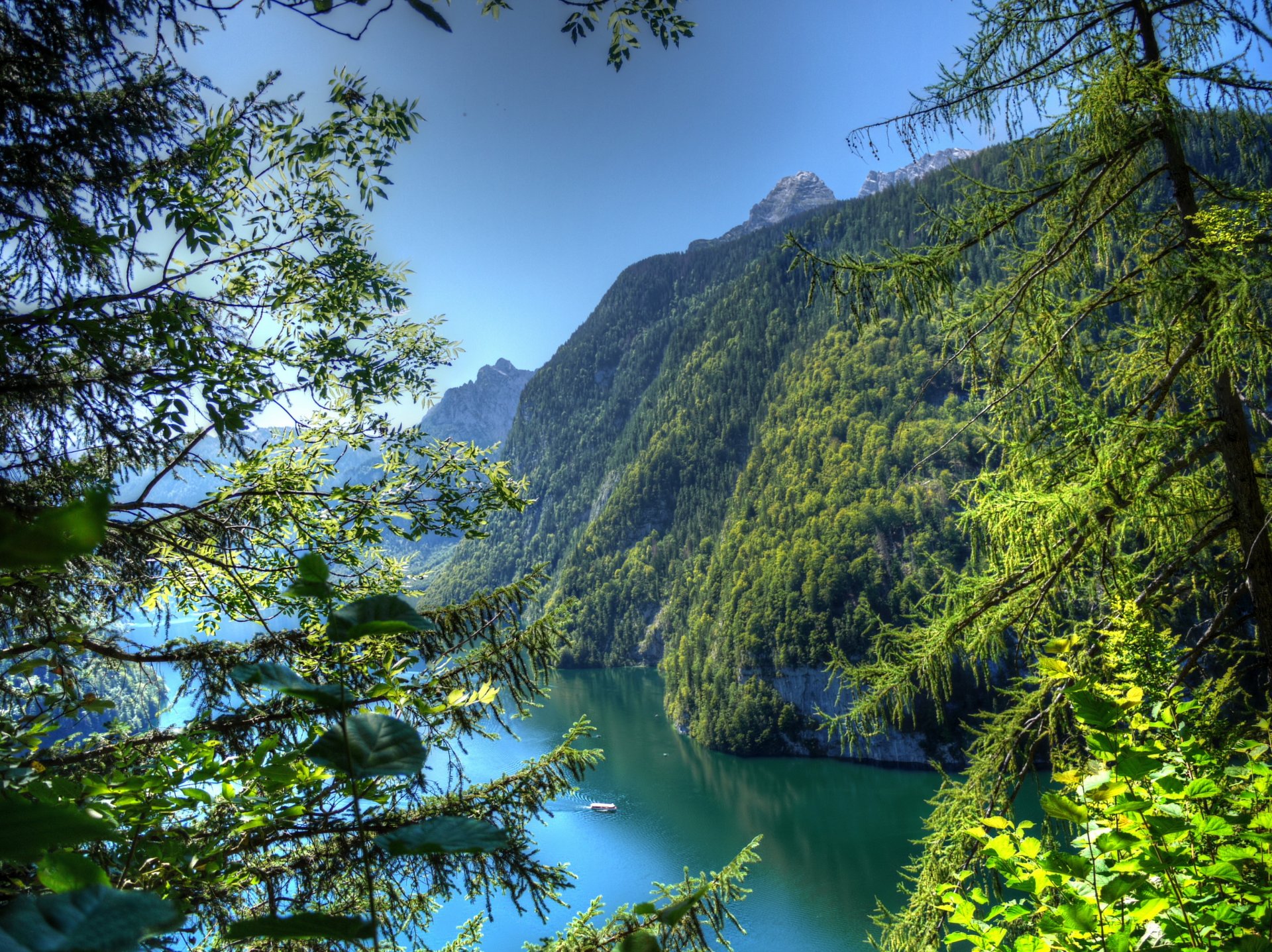 deutschland bayern niederlassungen natur berge wald bäume blätter fluss