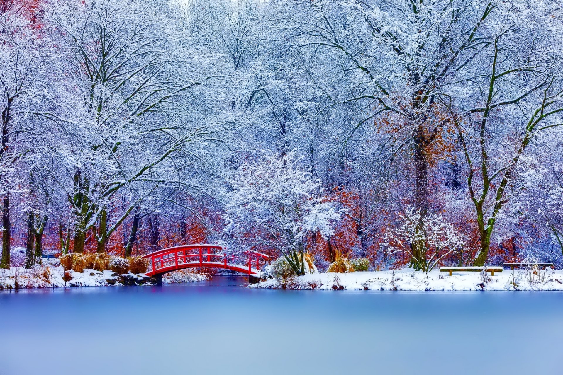 natura paesaggio inverno neve alberi