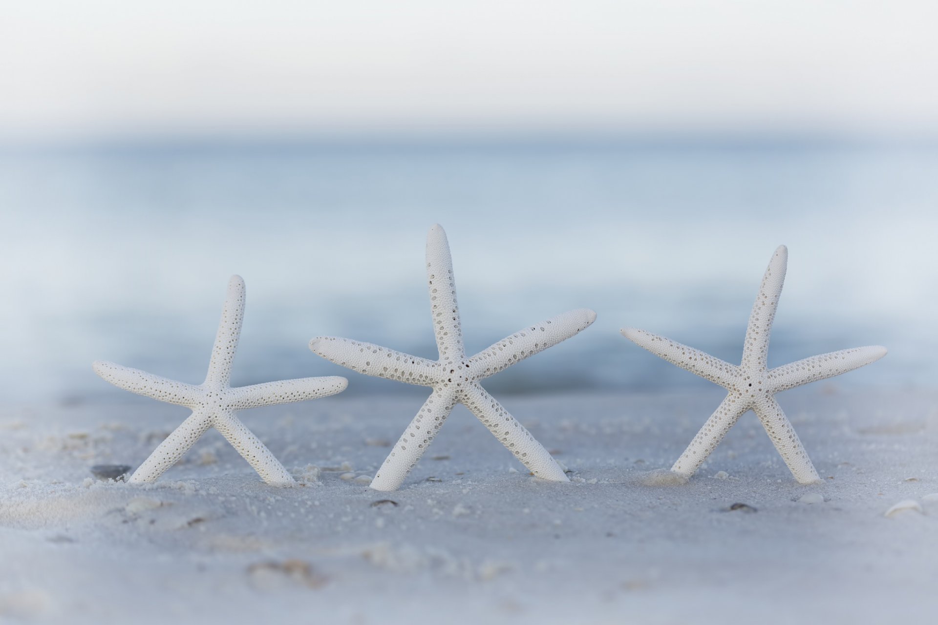 strand sand bokeh