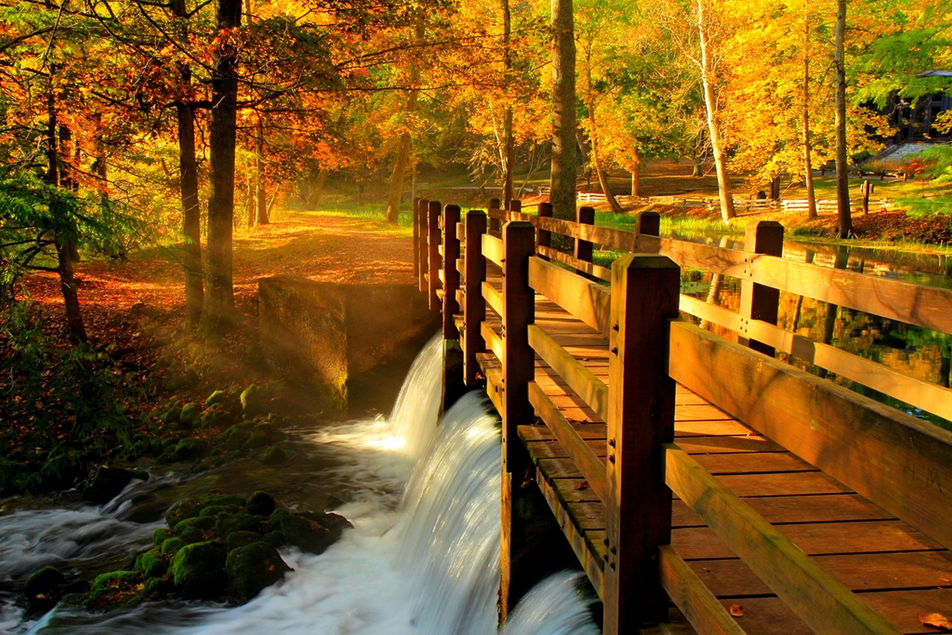 hojas parque callejón árboles bosque otoño paseo hdr naturaleza río agua ver caída puente reflexión vista