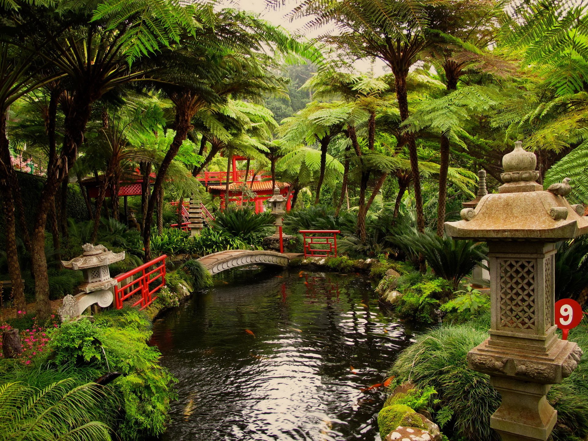 japonais jardins étang