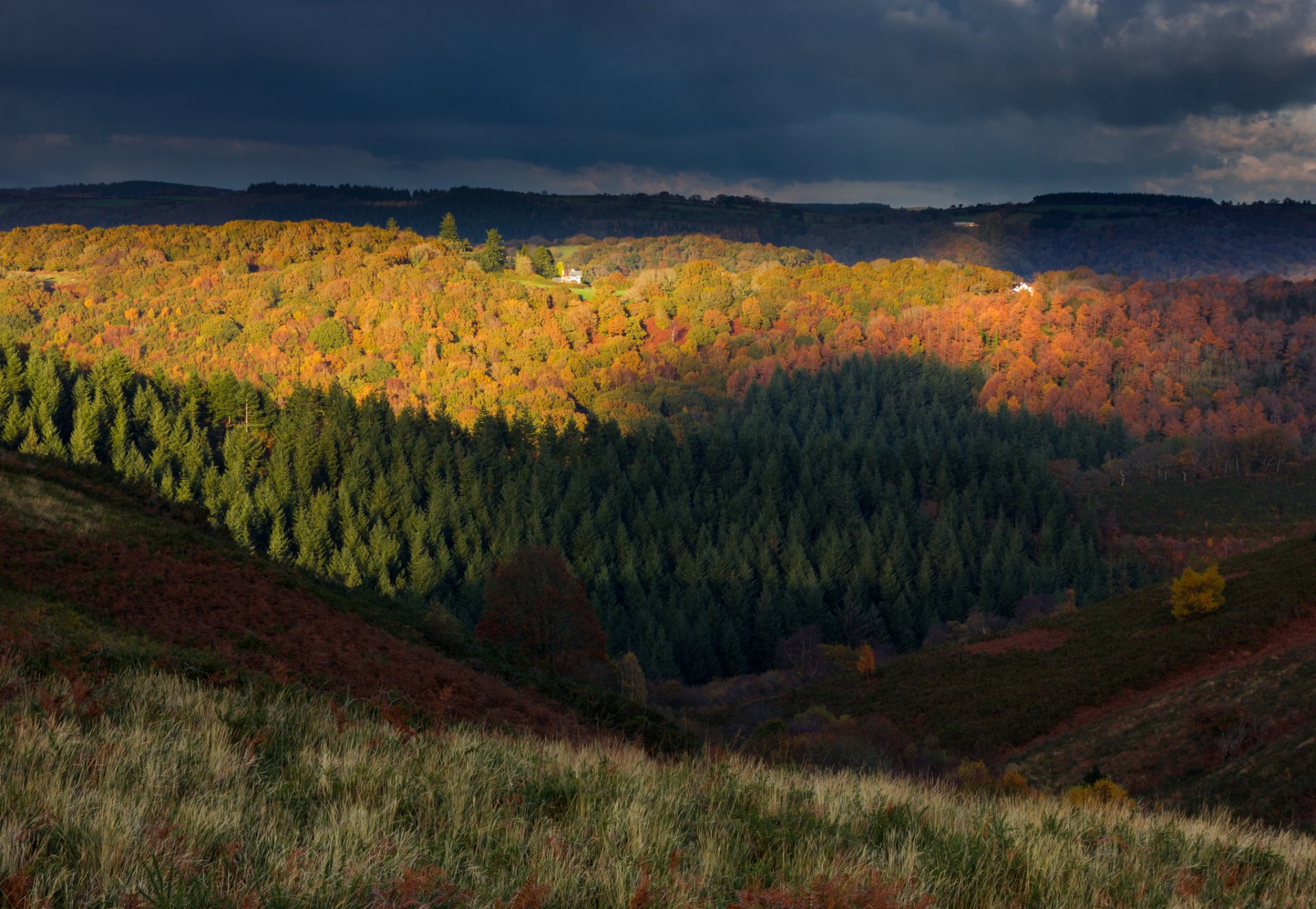 wielka brytania anglia dartmoor park narodowy jesień las wzgórza drzewa wieczór niebo chmury