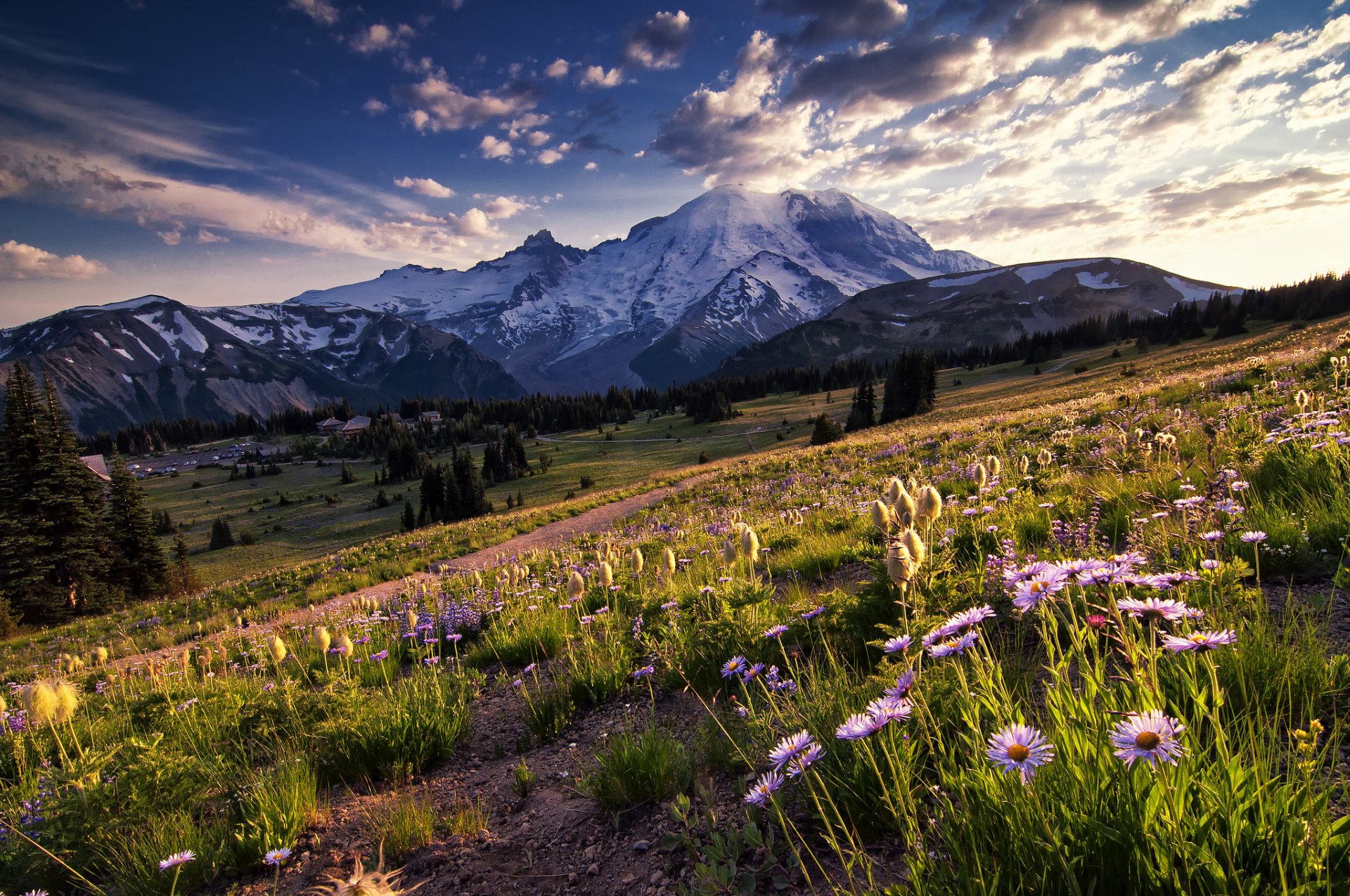 états-unis washington parc national montagnes arbres clairière fleurs ciel nuages soirée lumière du soleil