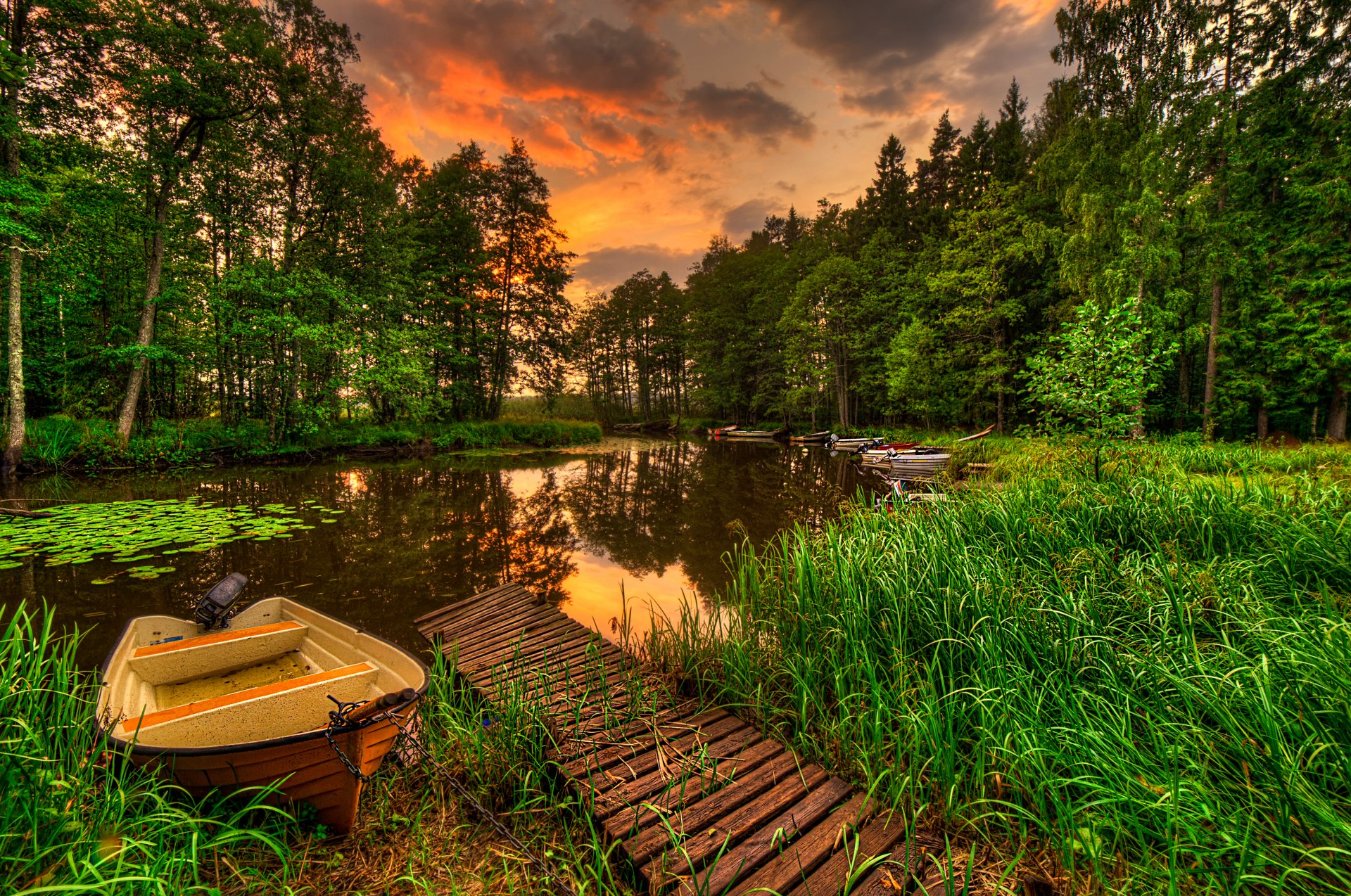 landschaft ansicht wald gras see wasser reflexion himmel sonnenuntergang natur ansicht