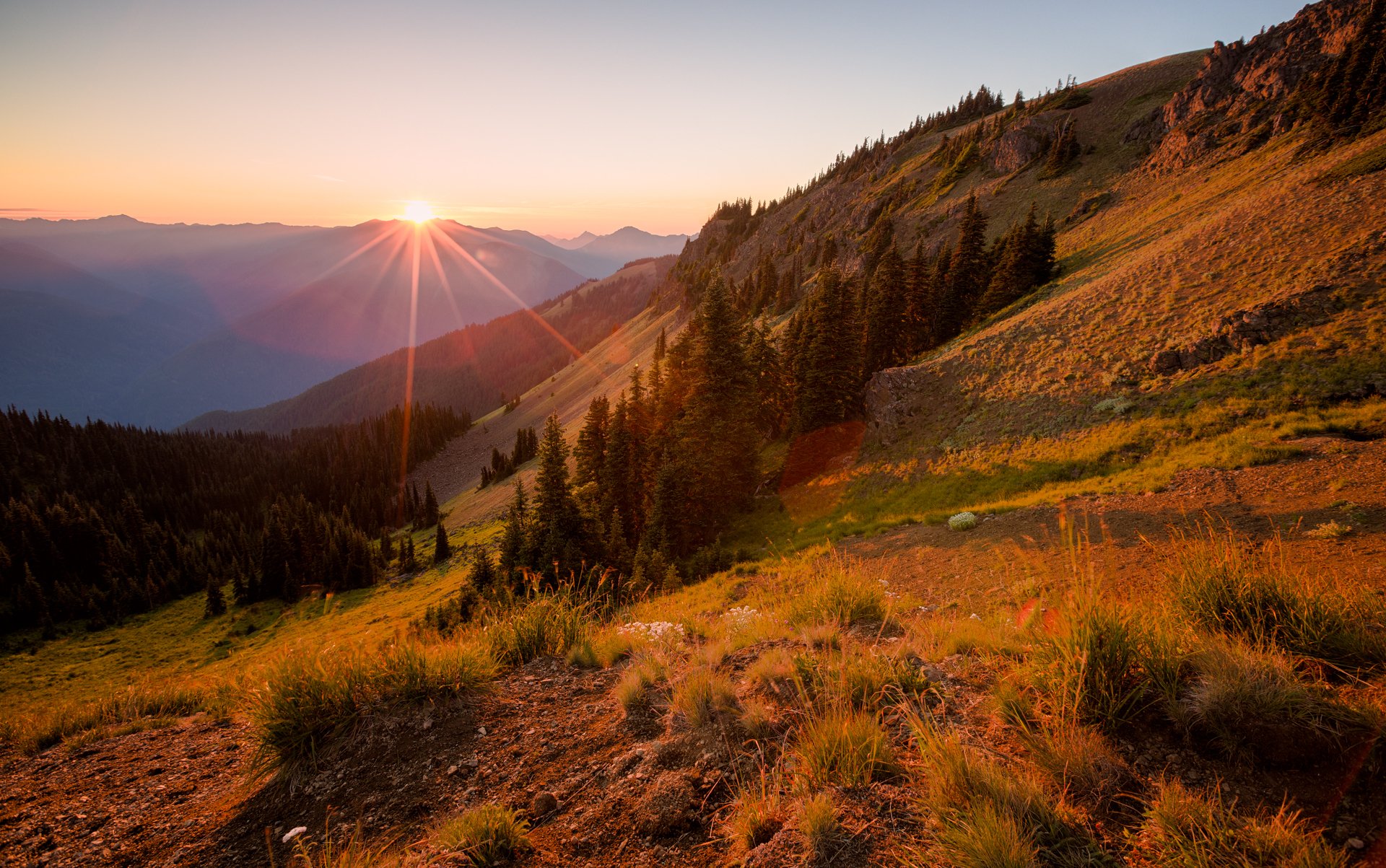 berge hang bäume tannen wald sonnenuntergang sonne strahlen