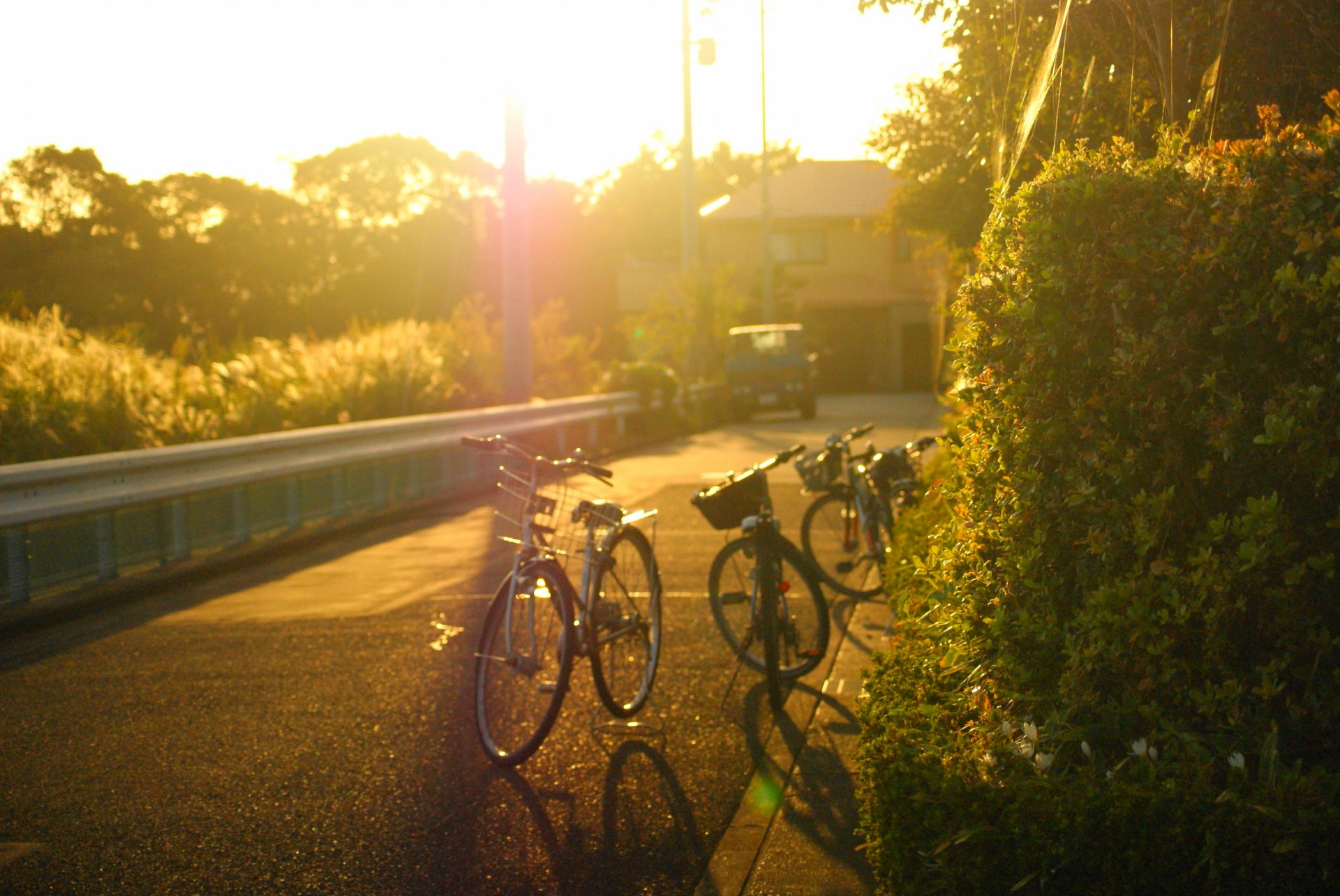 mood strada città strada bicicletta biciclette alberi albero foglie volantini macchina sole sfondo carta da parati widescreen a schermo intero widescreen widescreen