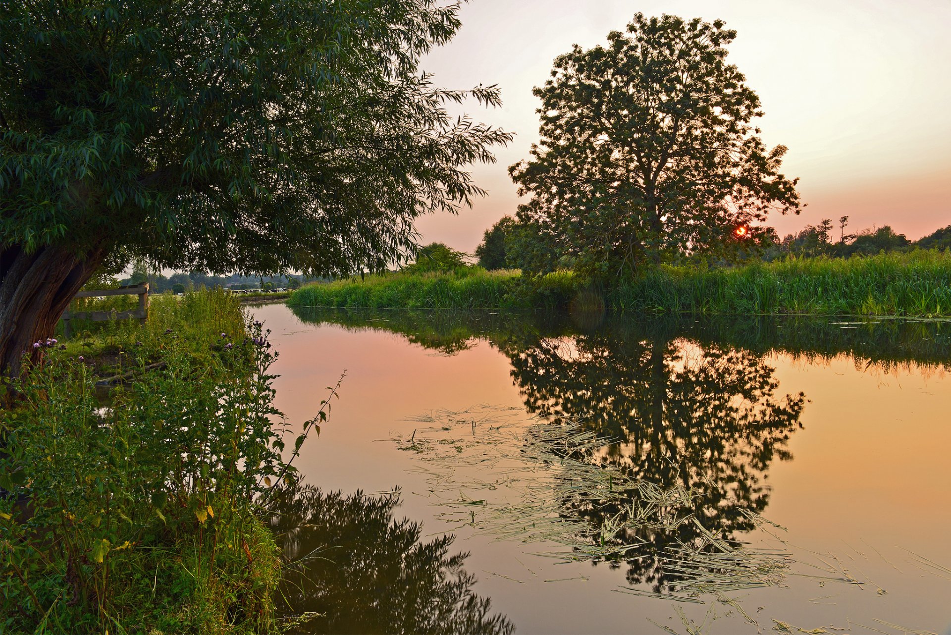 lac herbe arbres soir coucher de soleil