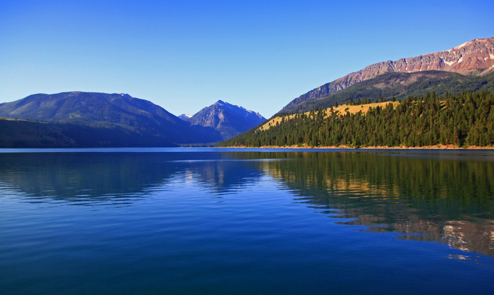 lac de montagne forêt nature lac wallowa et wallowa montagnes oregon