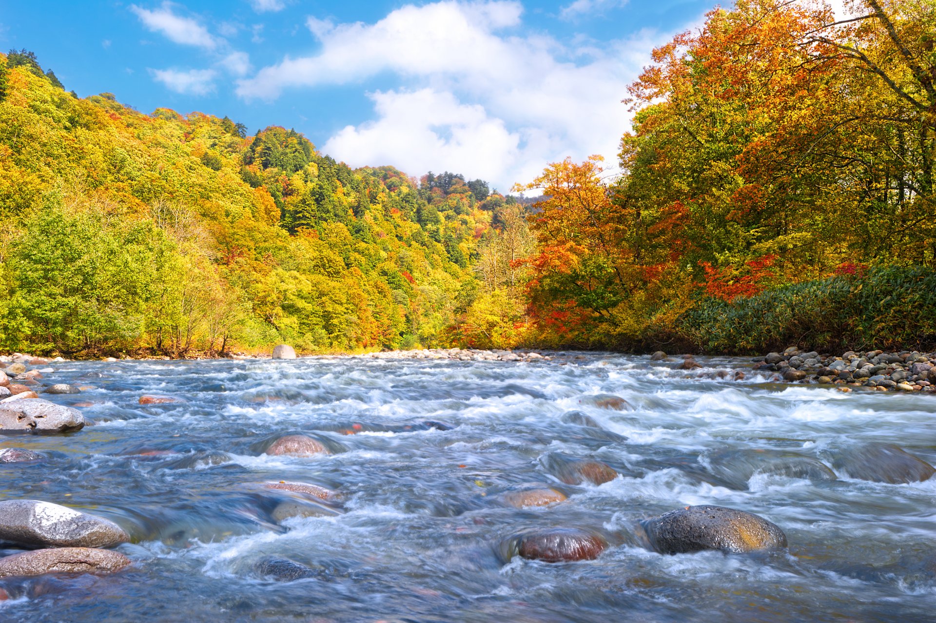 bosque otoño principios río piedras corriente