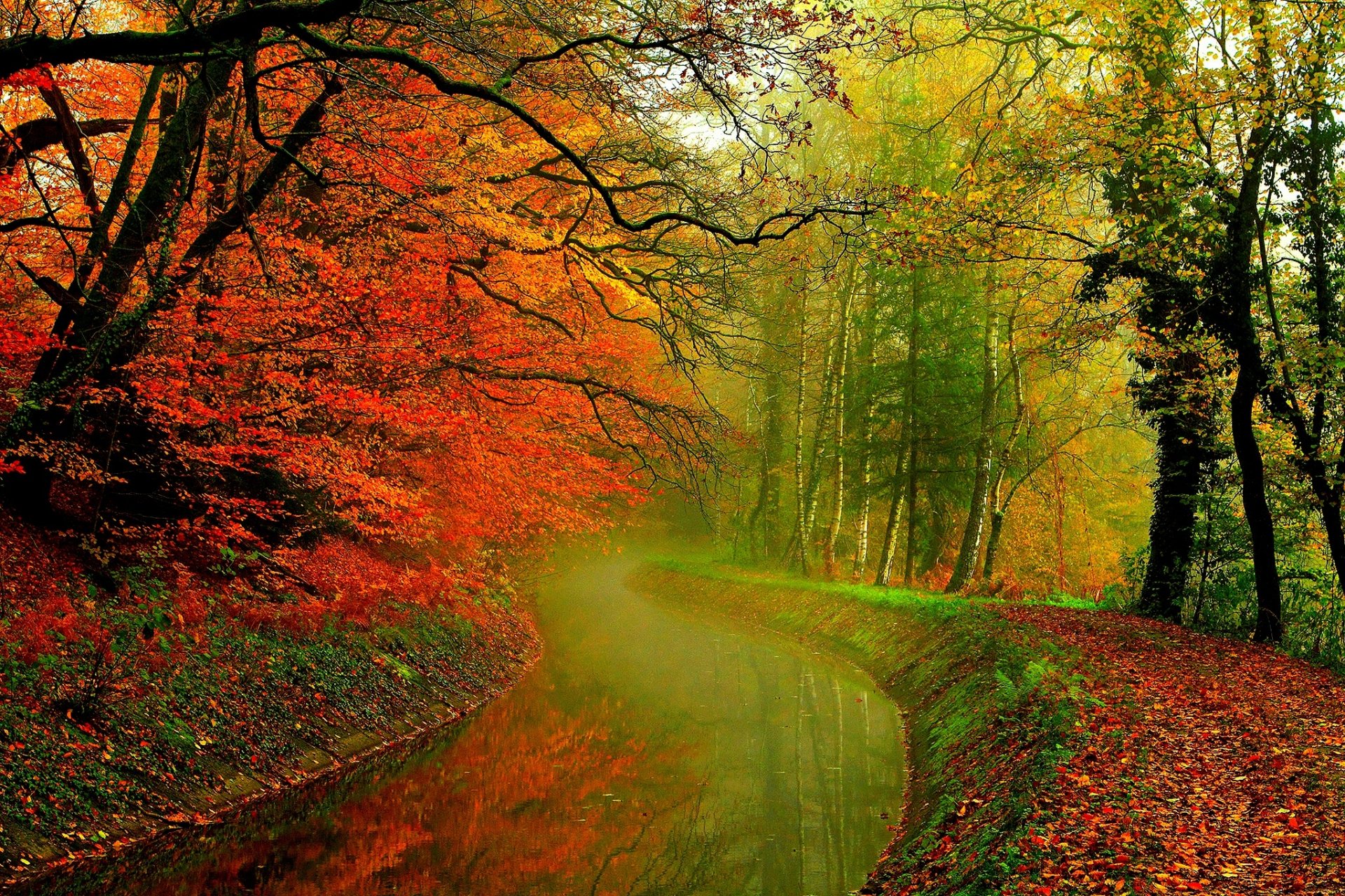 liście drzewa las jesień spacer hdr natura rzeka woda