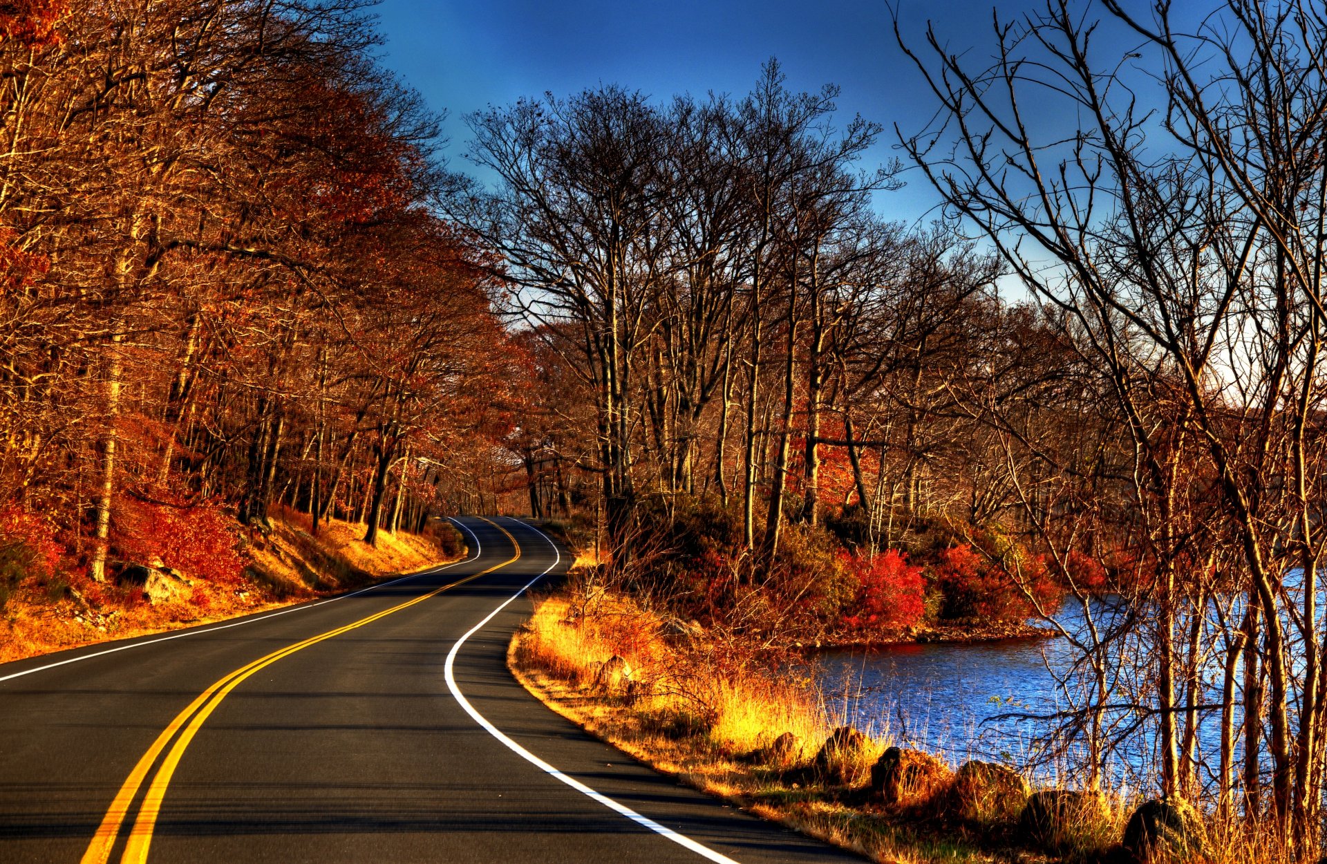 leaves trees forest road autumn nature river water view fall walk view