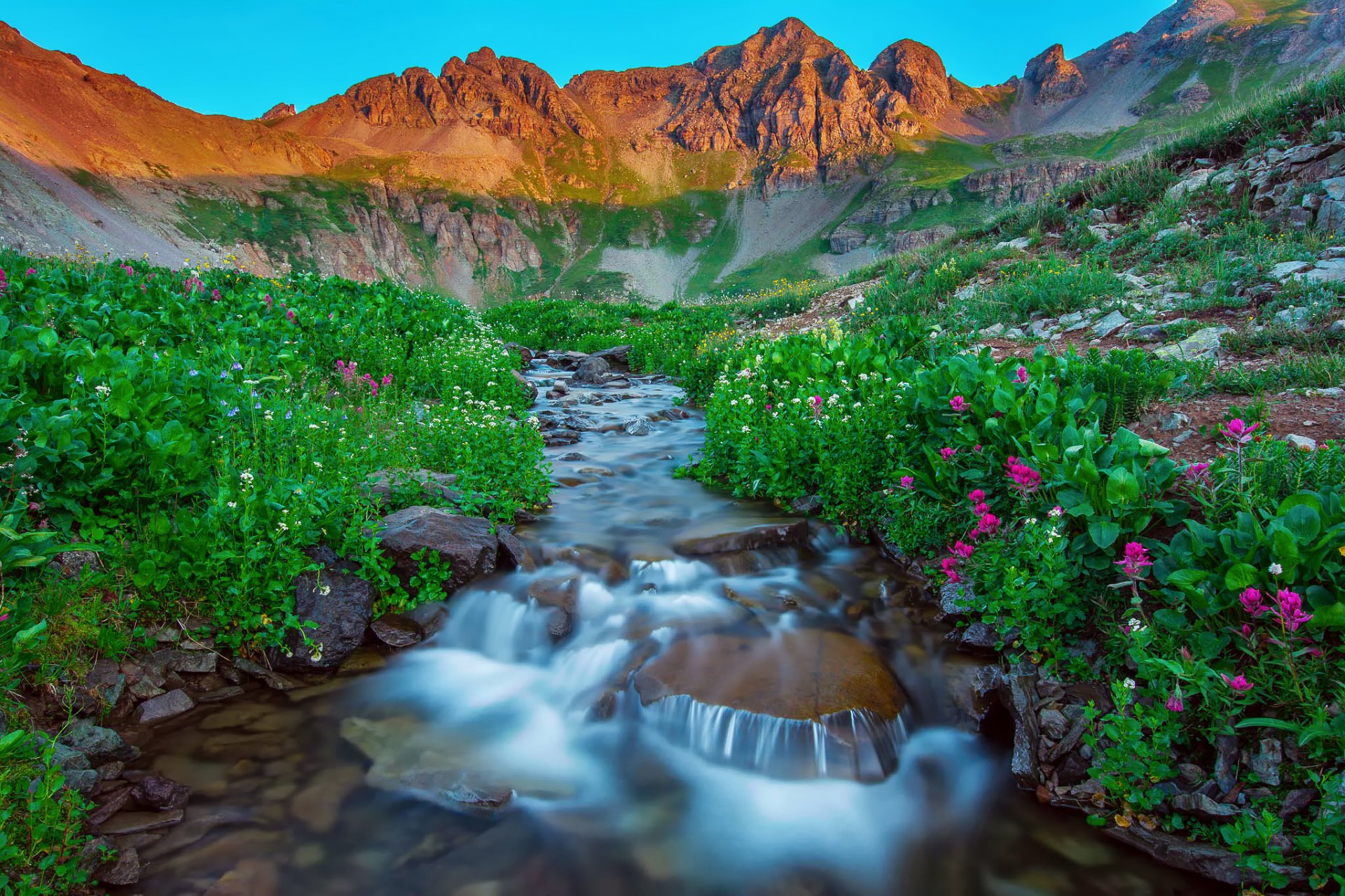 naturaleza estados unidos silverton colorado mañana montañas de san juan verano montañas lago arroyo piedras flores