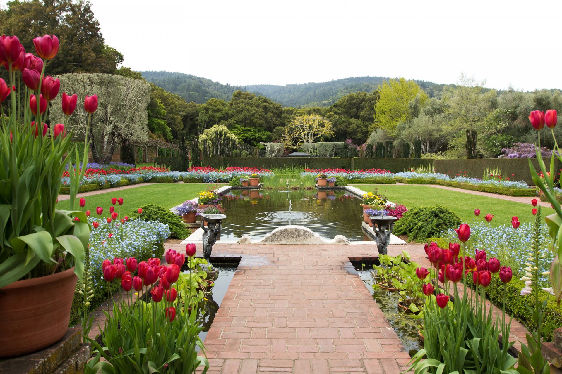 jardín estados unidos tulipanes estanque paisaje filoli california diseño naturaleza foto