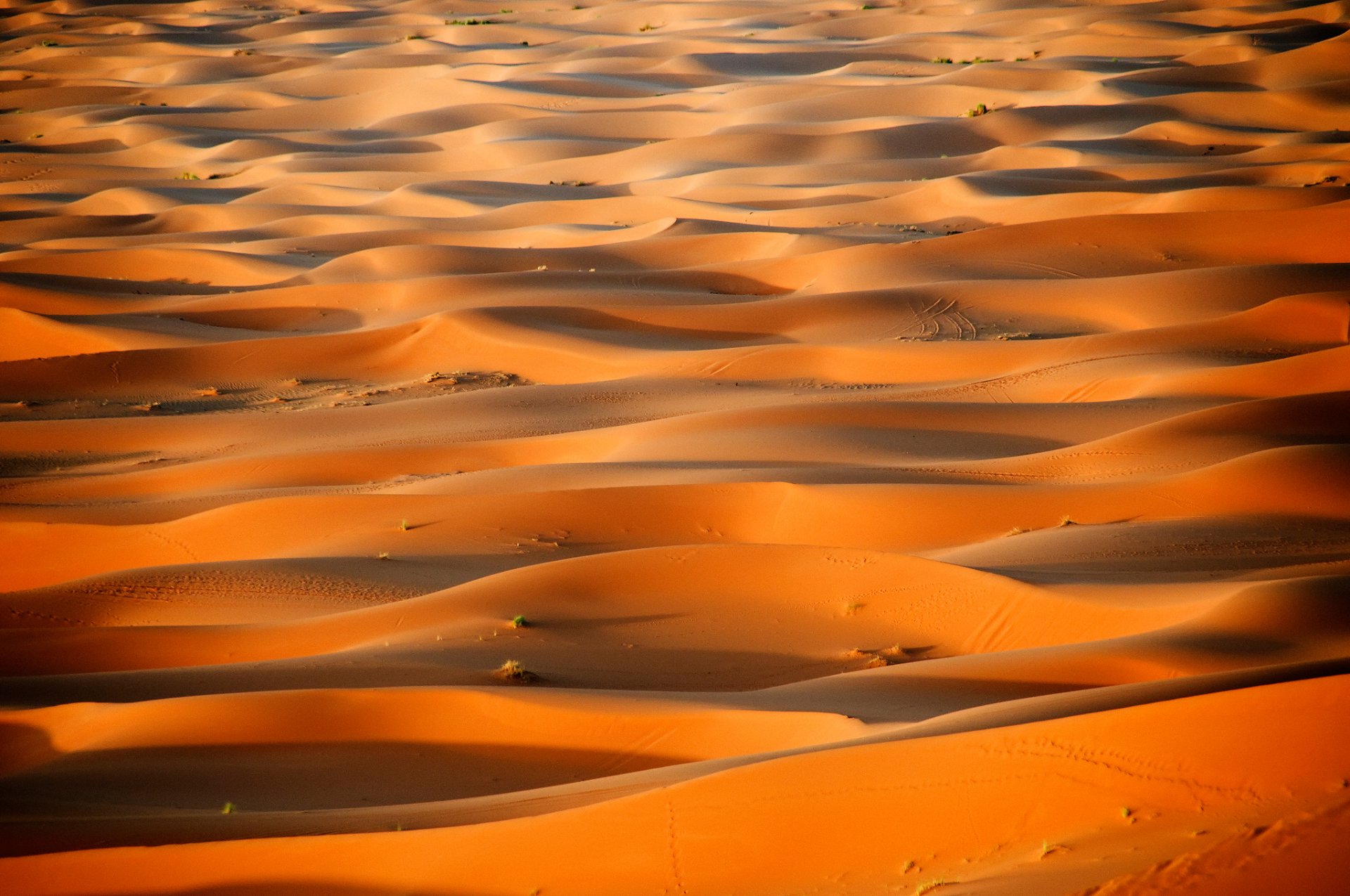 afrika marokko wüste sahara dünen