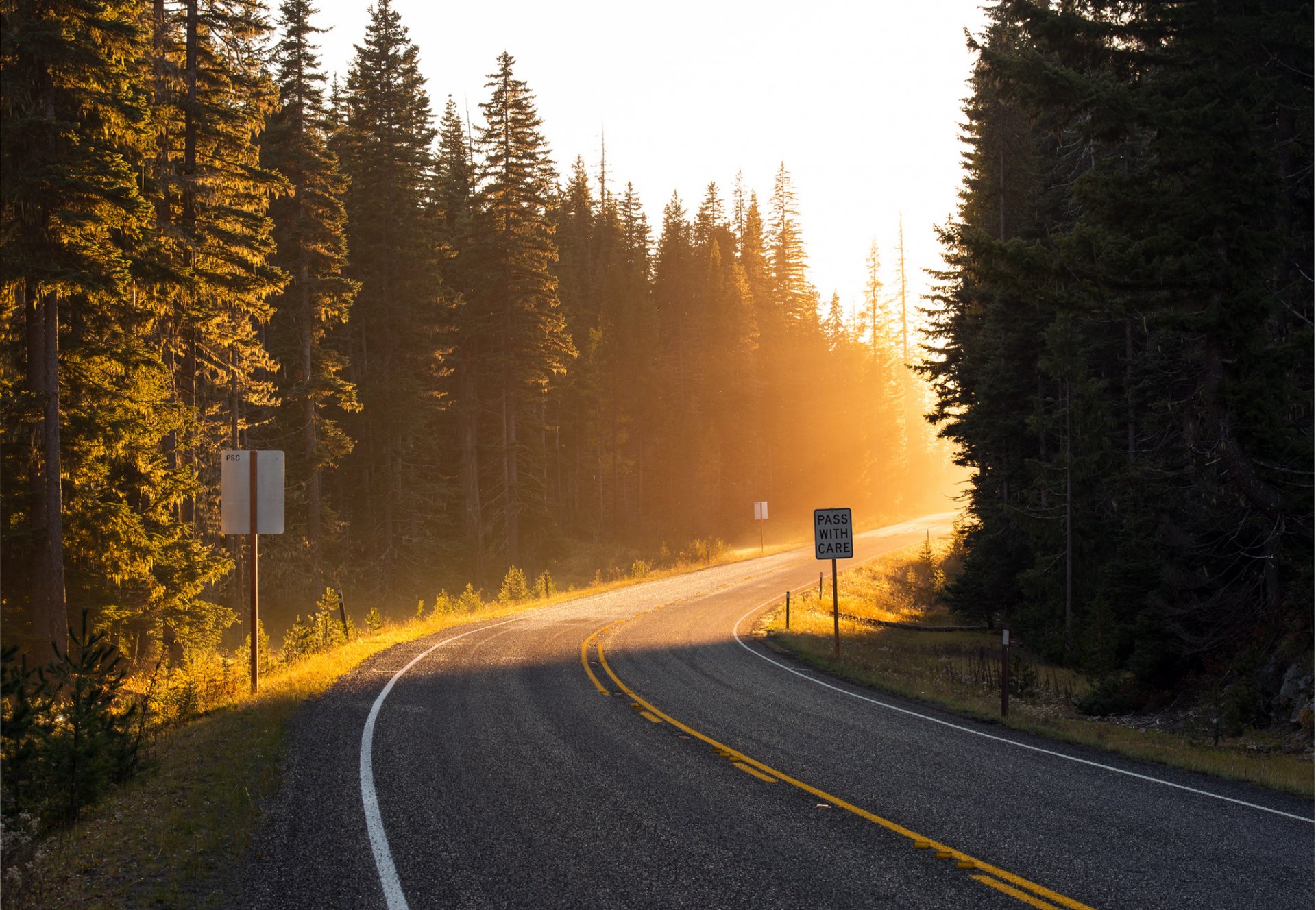 camino giro sol hacia rayos luz bosque árboles abeto marcado borde de la carretera camino