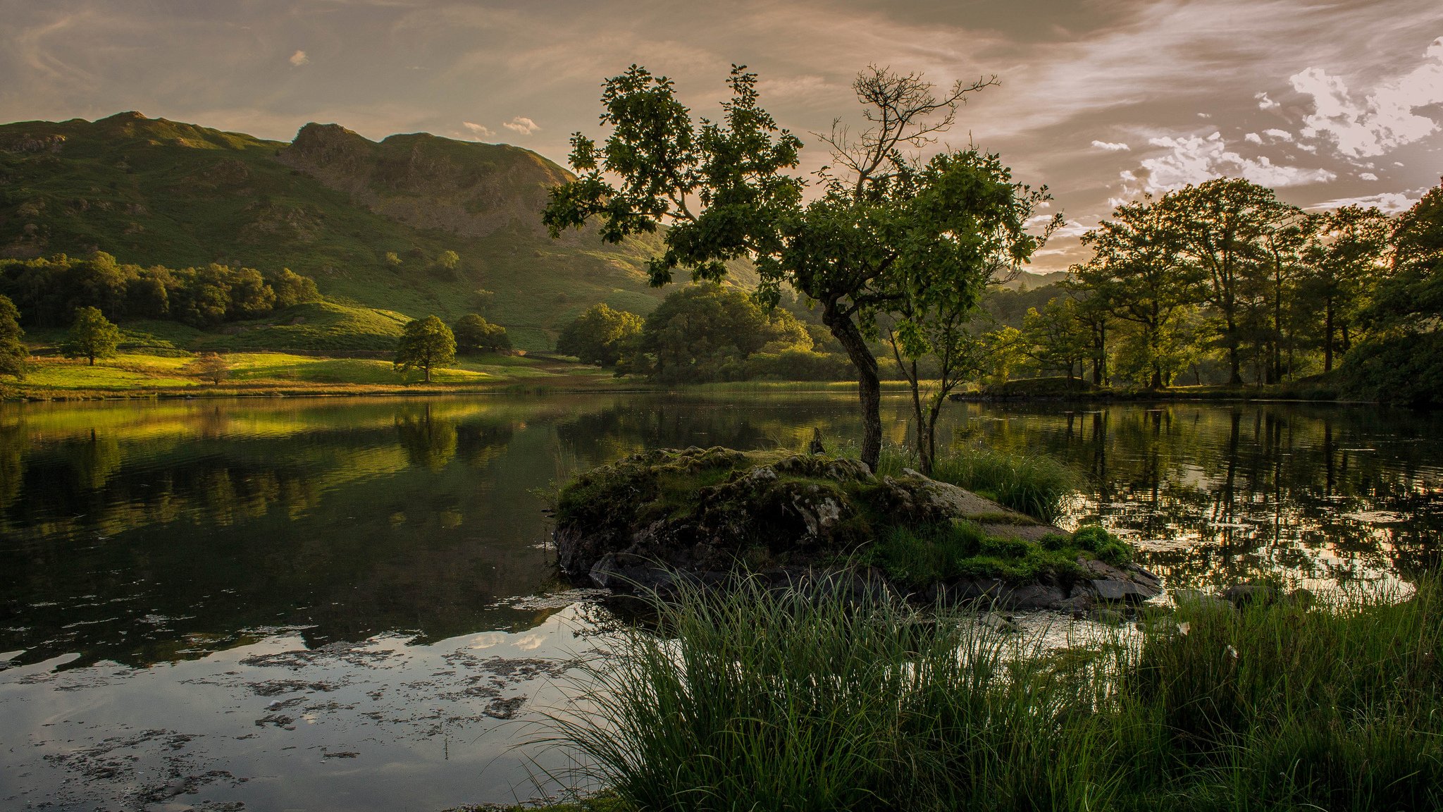 mountain lake tree night