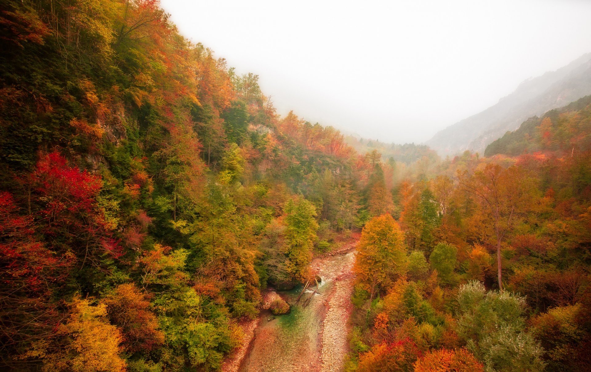 berge wald fluss herbst nebel