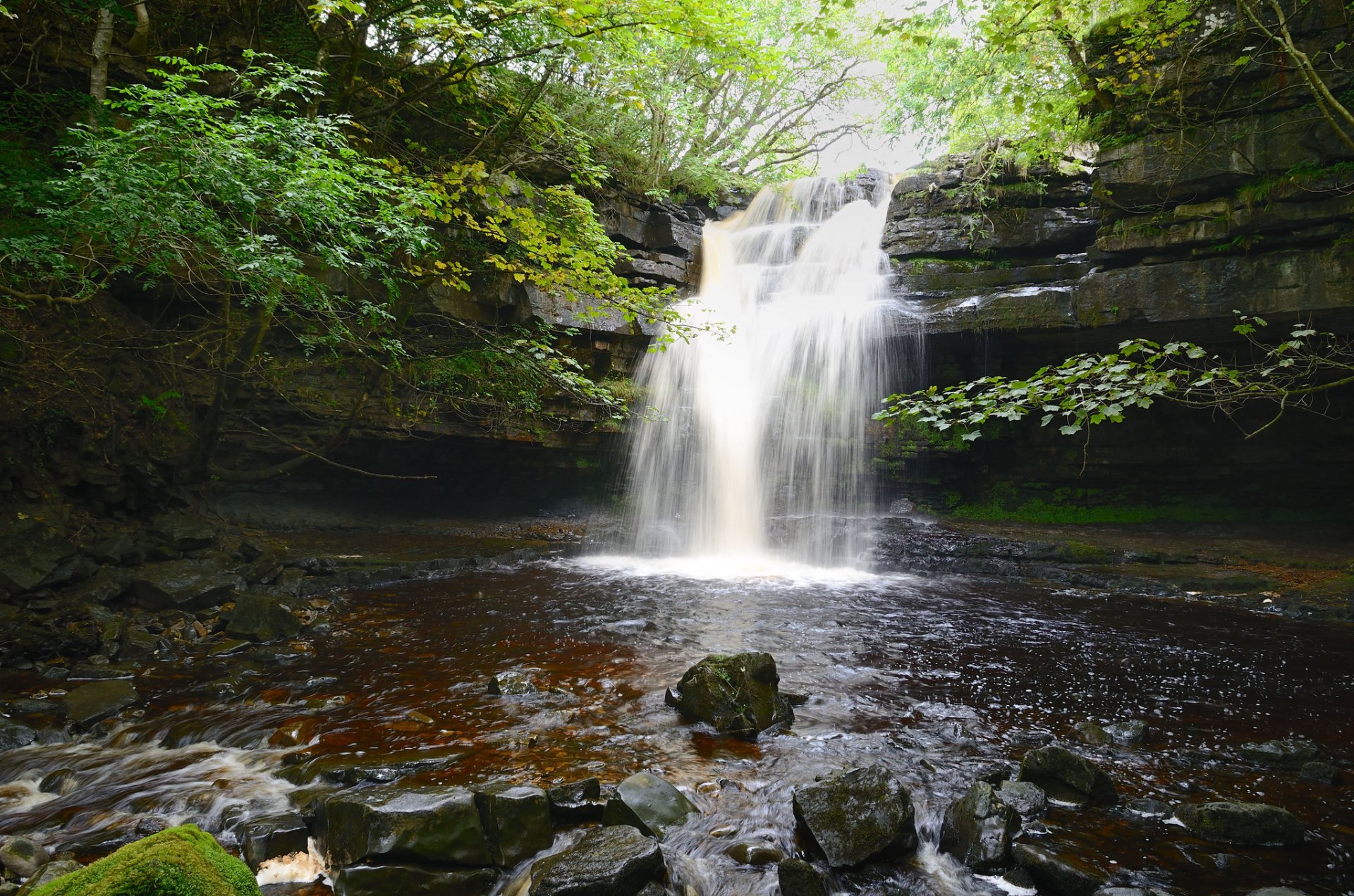 árboles cascada corriente piedras